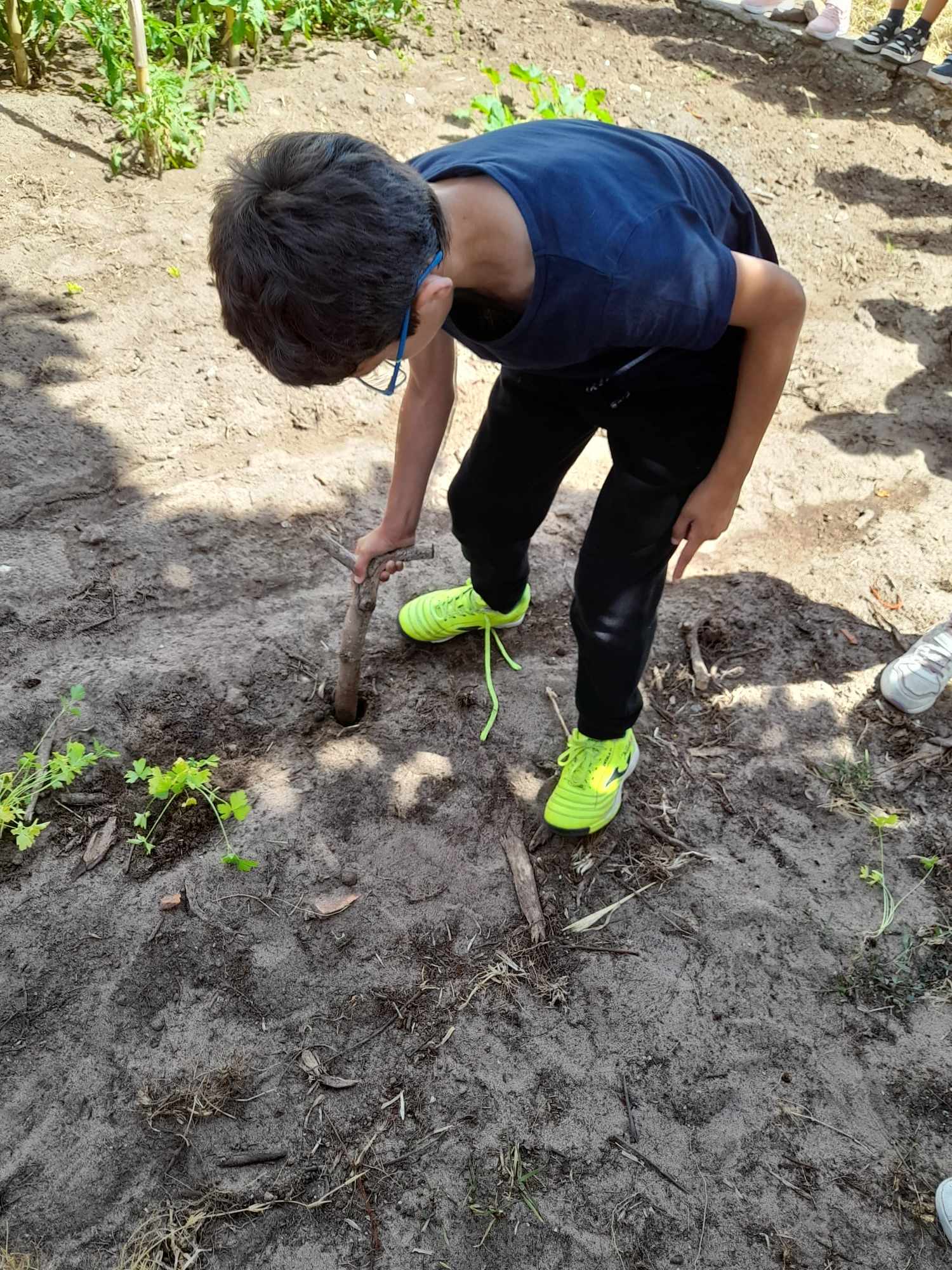 Plantação de ervas aromáticas.