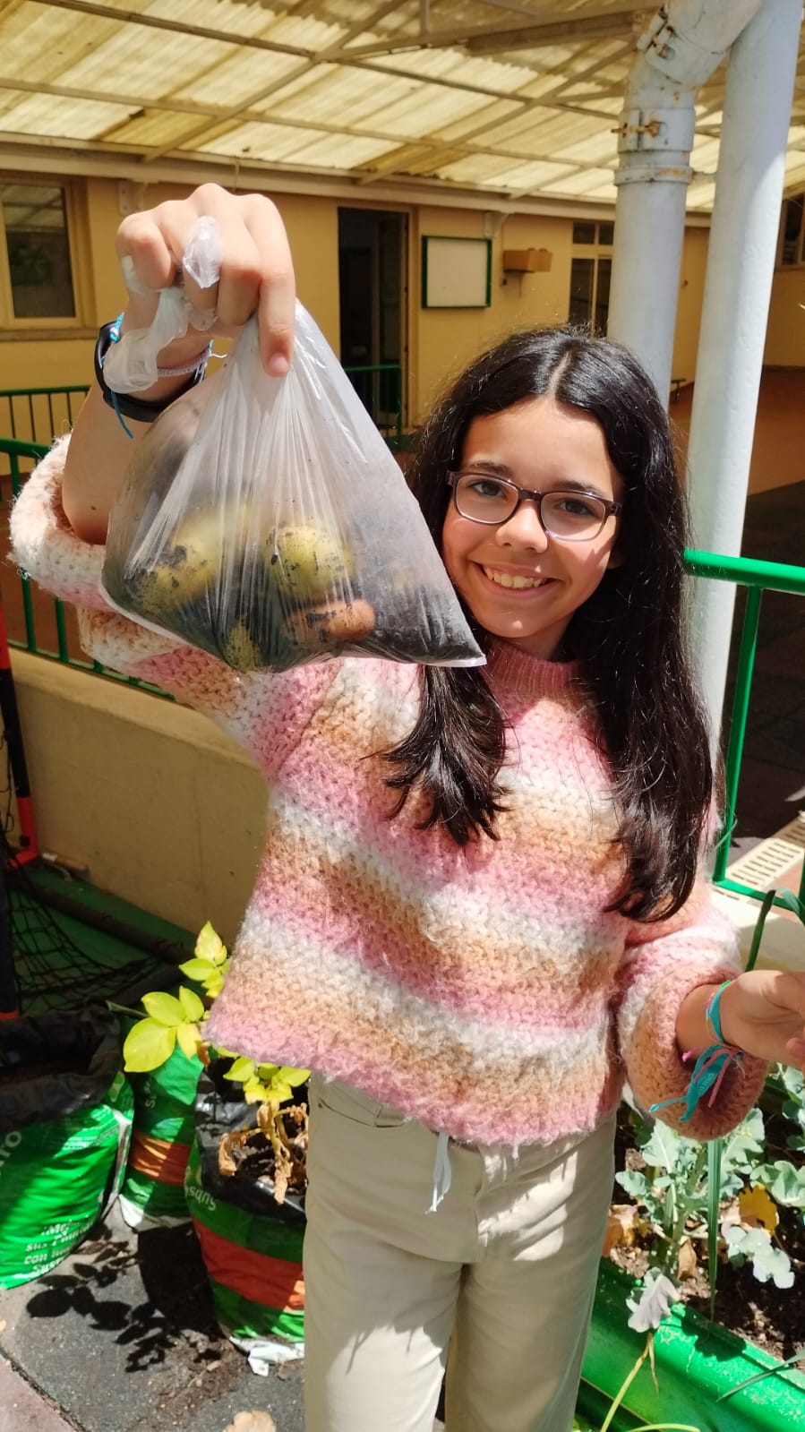 É com muita felicidade e por vezes admiração que os alunos fazem a colheita dos seu legumes