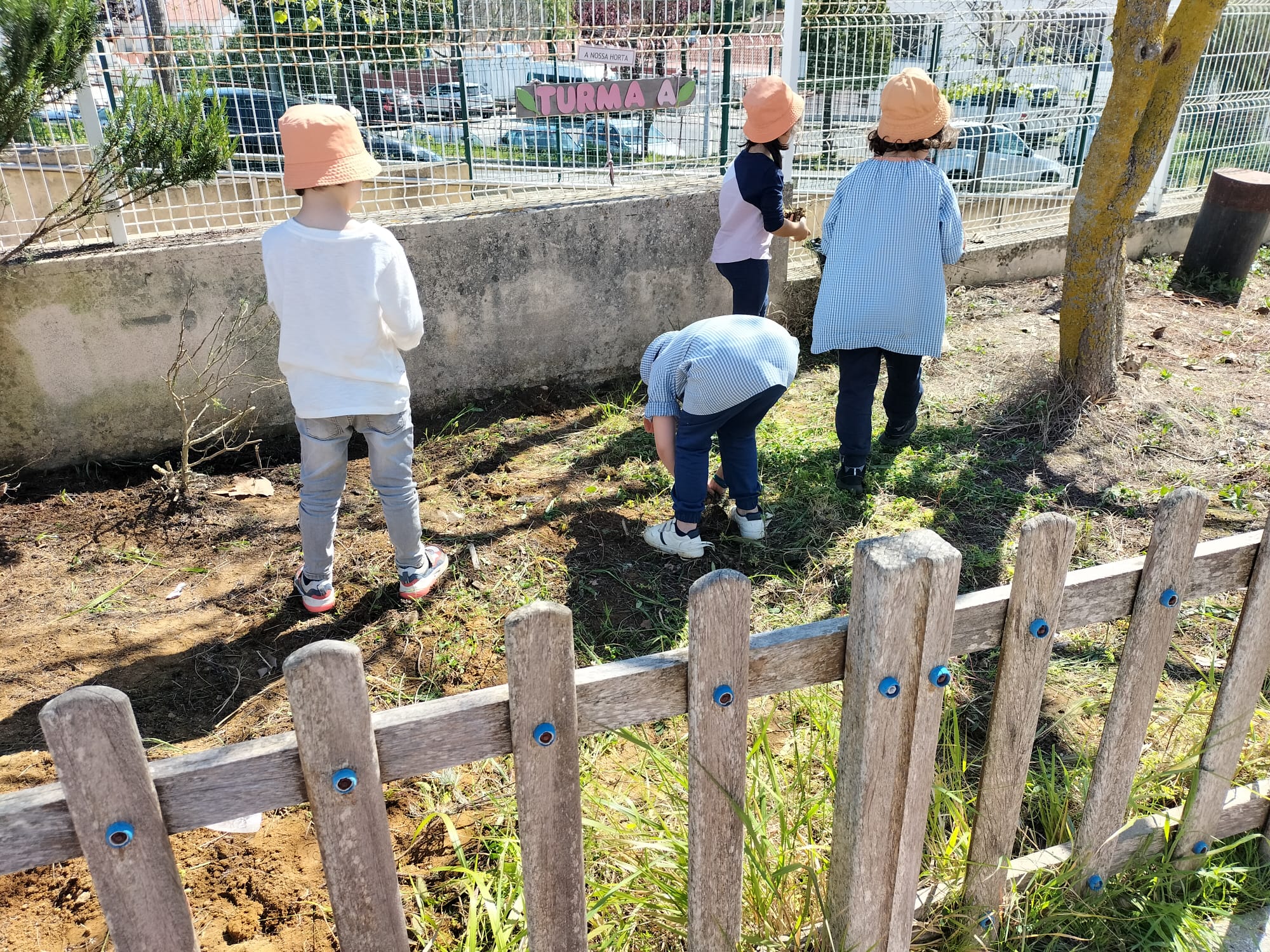 Preparação do espaço para a Plantação