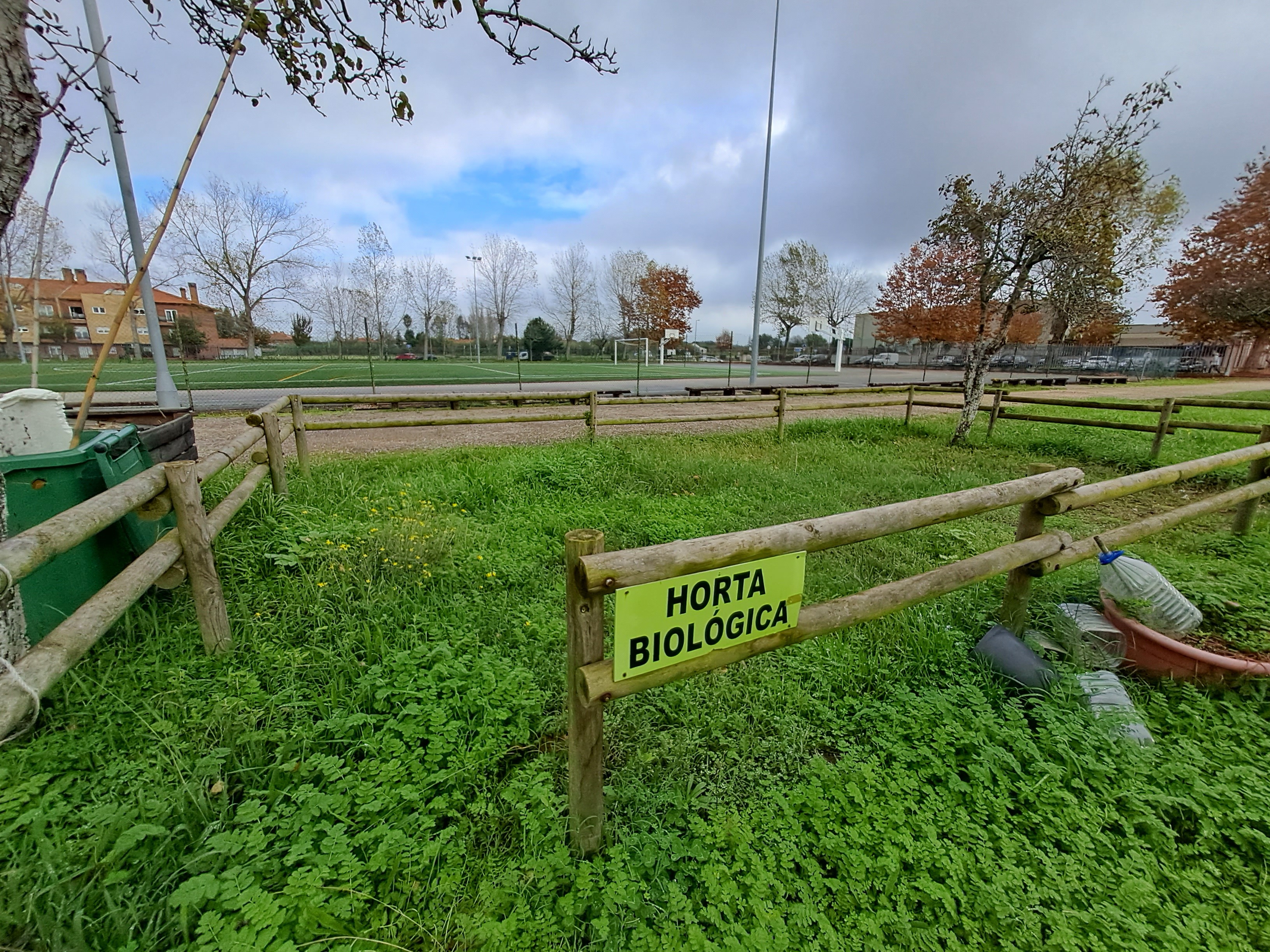 A horta em setembro