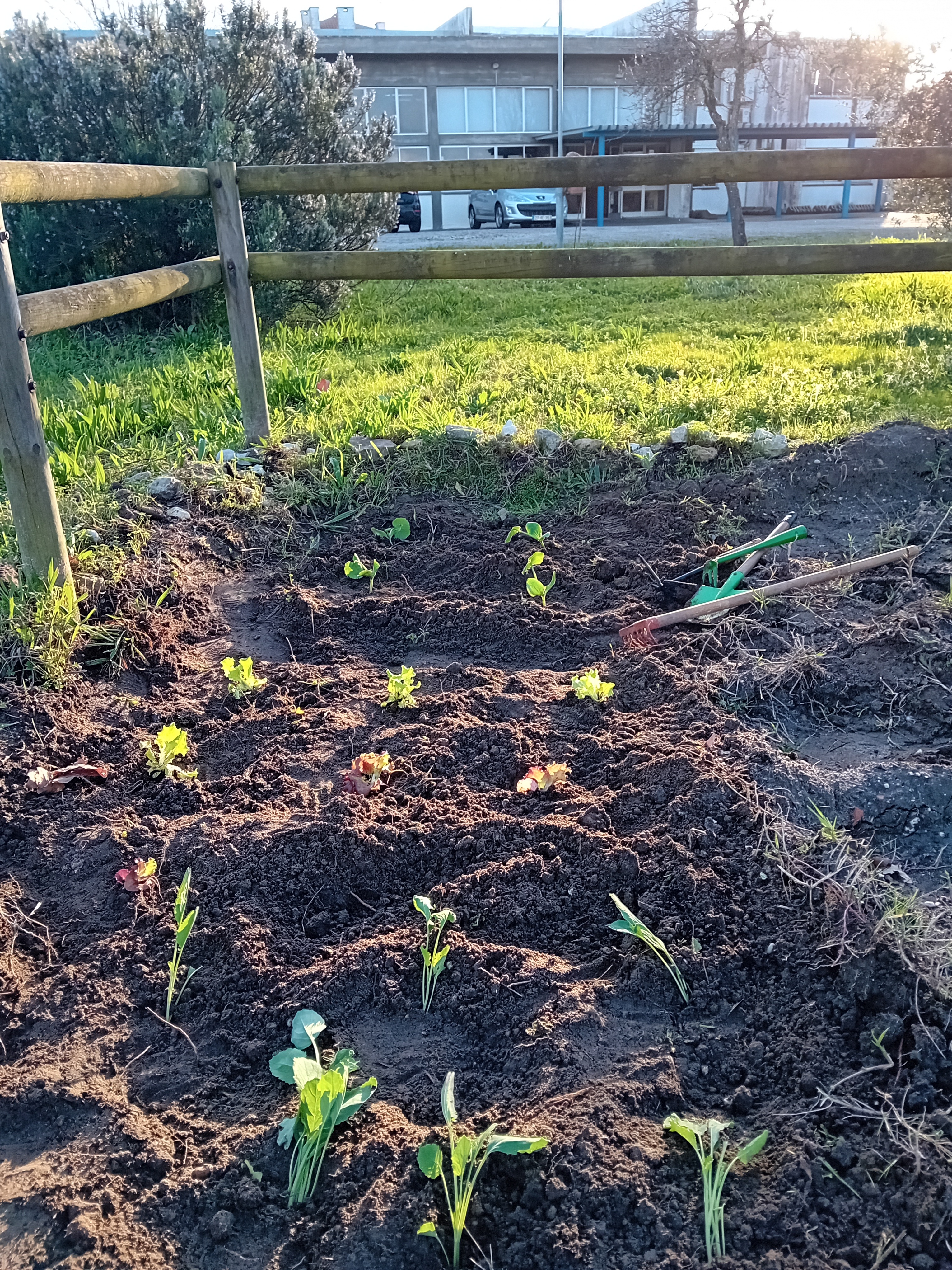 Mais plantações, ainda com muita chuva!