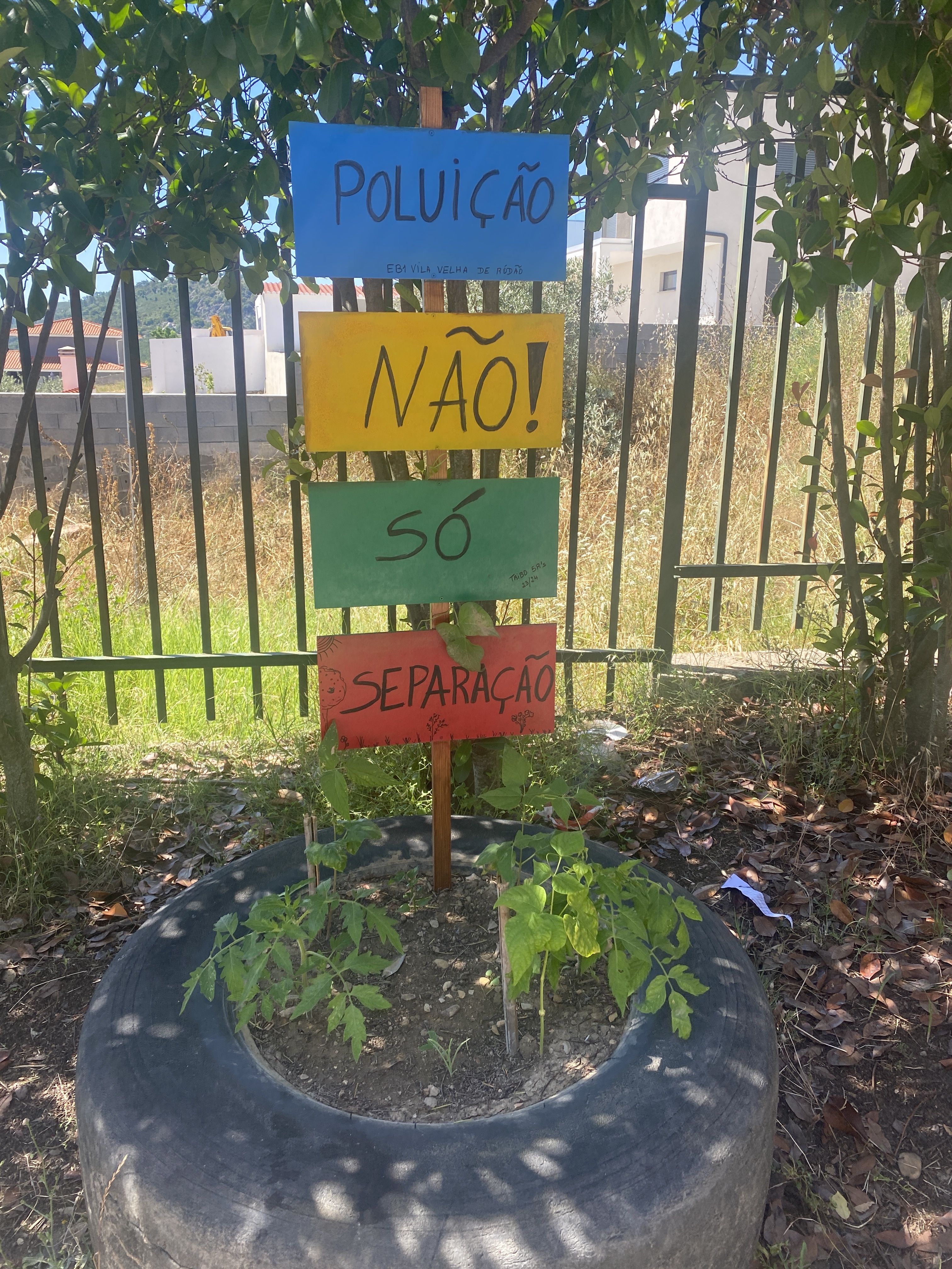 Crescimento das plantas.