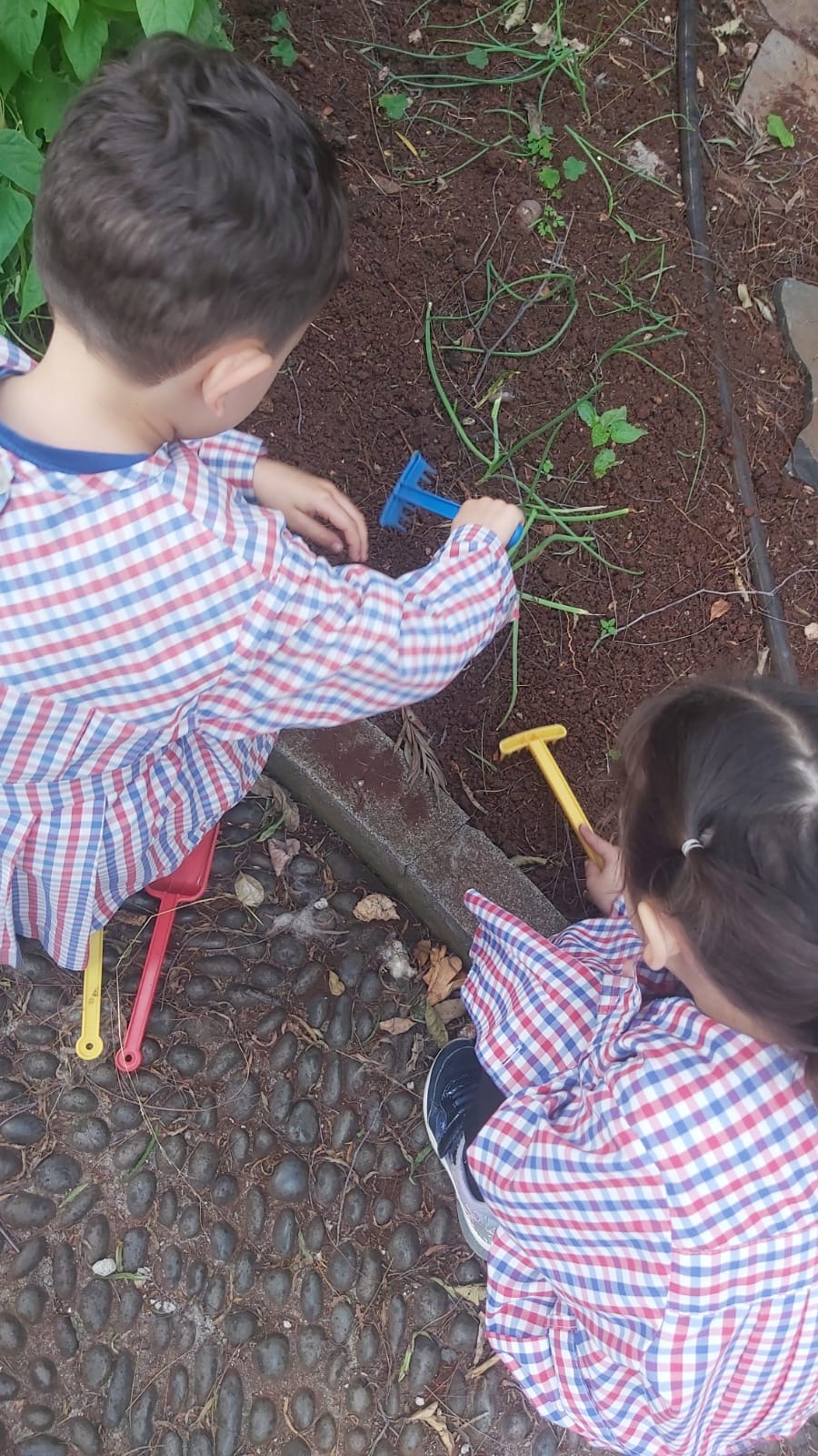 Todos os alunos a vez tiveram a oportunidade de cuidar das primeiras plantas, fazendo uma manutenção da horta.