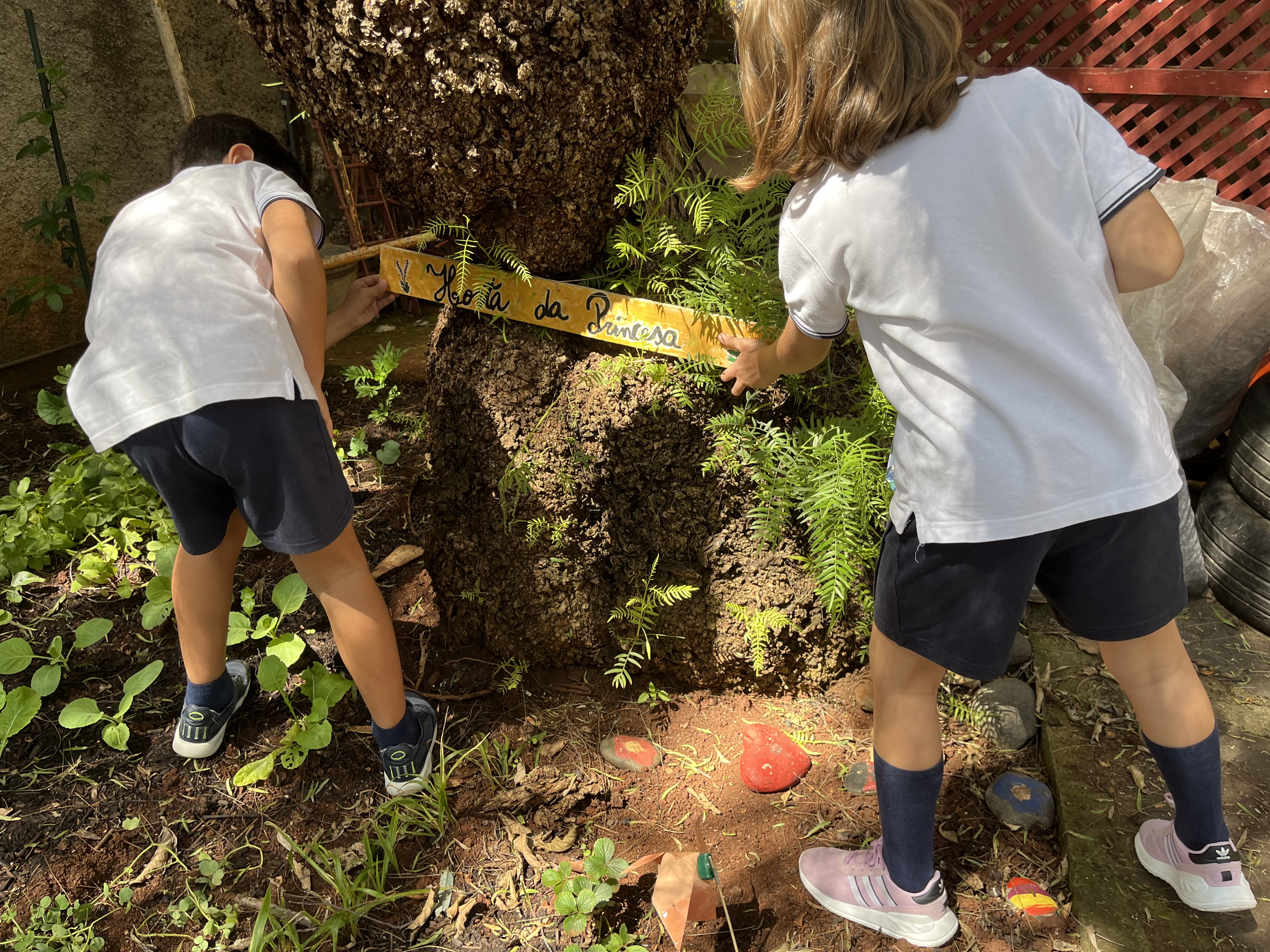 Os alunos também fazem a manutenção de tudo o que la foi colocado.