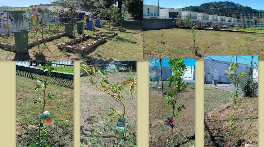 Visão geral da Horta e do Pomar