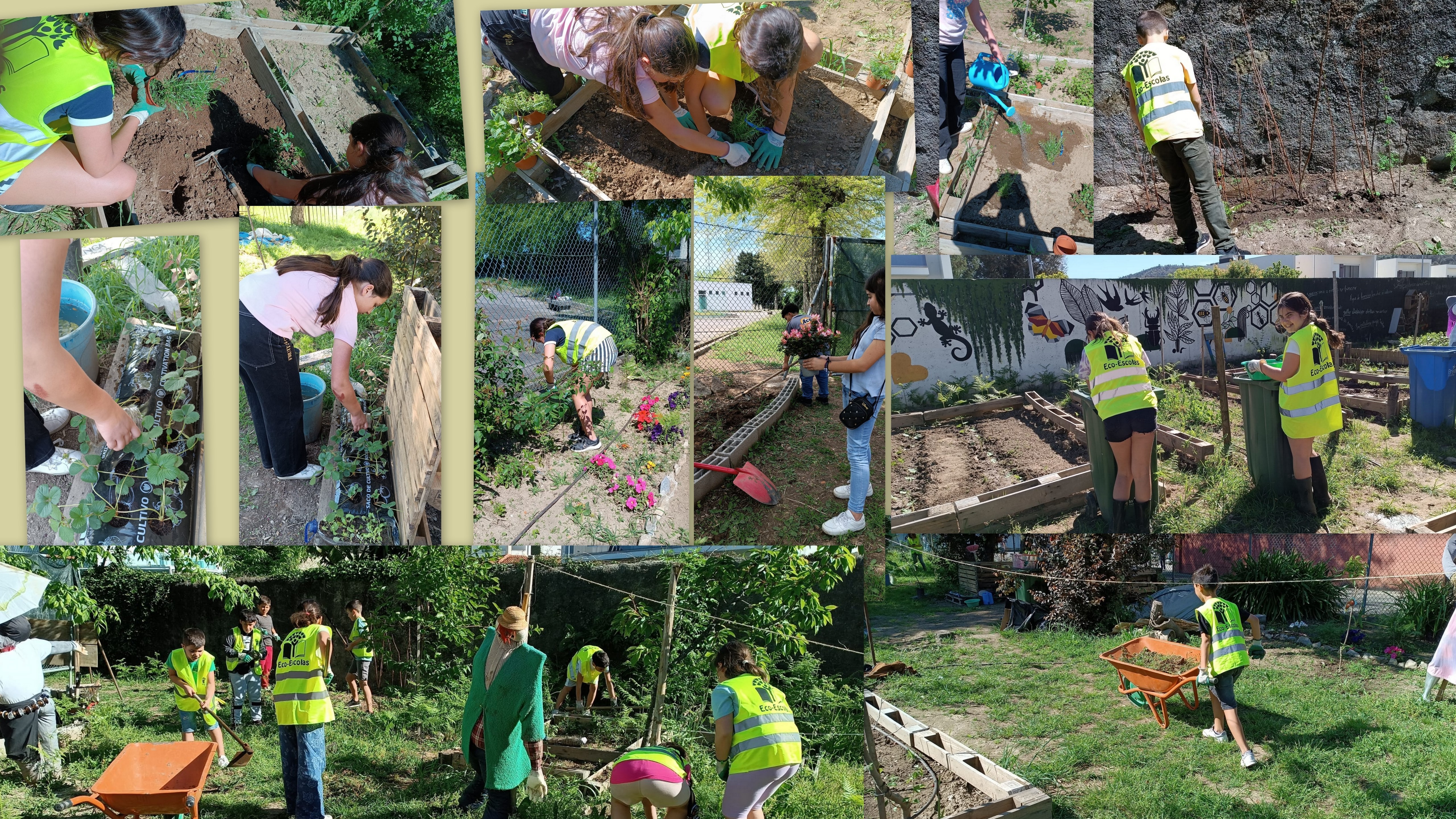 Escola Básica de Palmeira
Foto 1 - Plantações em abril (aromáticas e morangueiros) e ações de manutenção