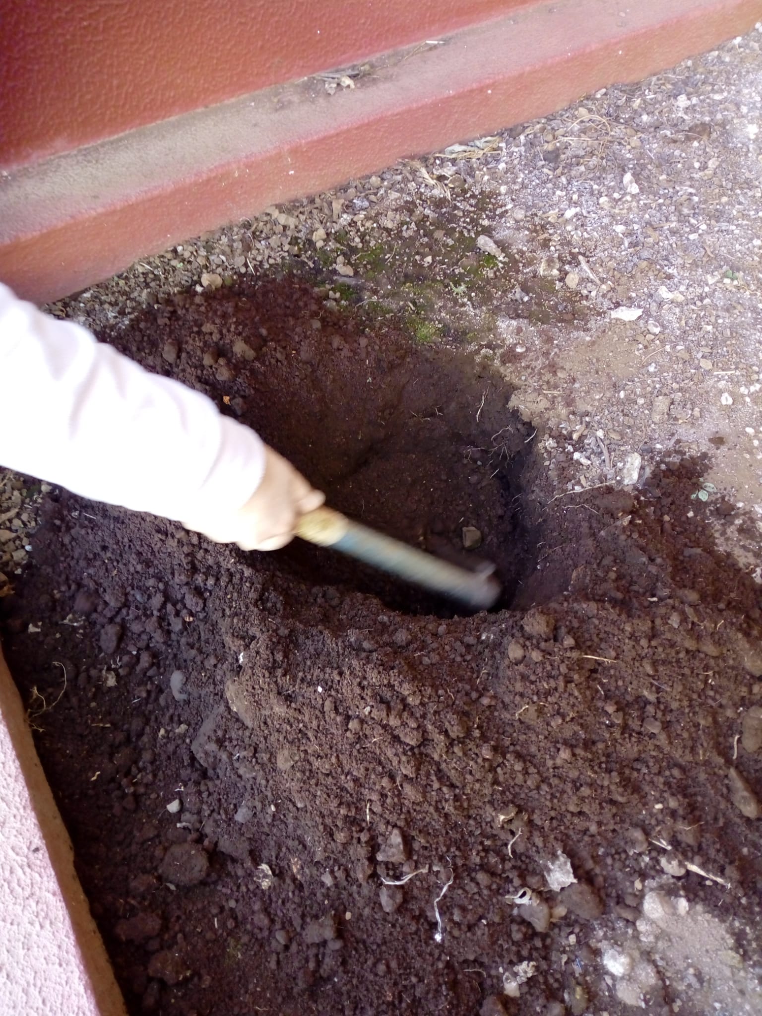 Plantação da nossa horta.