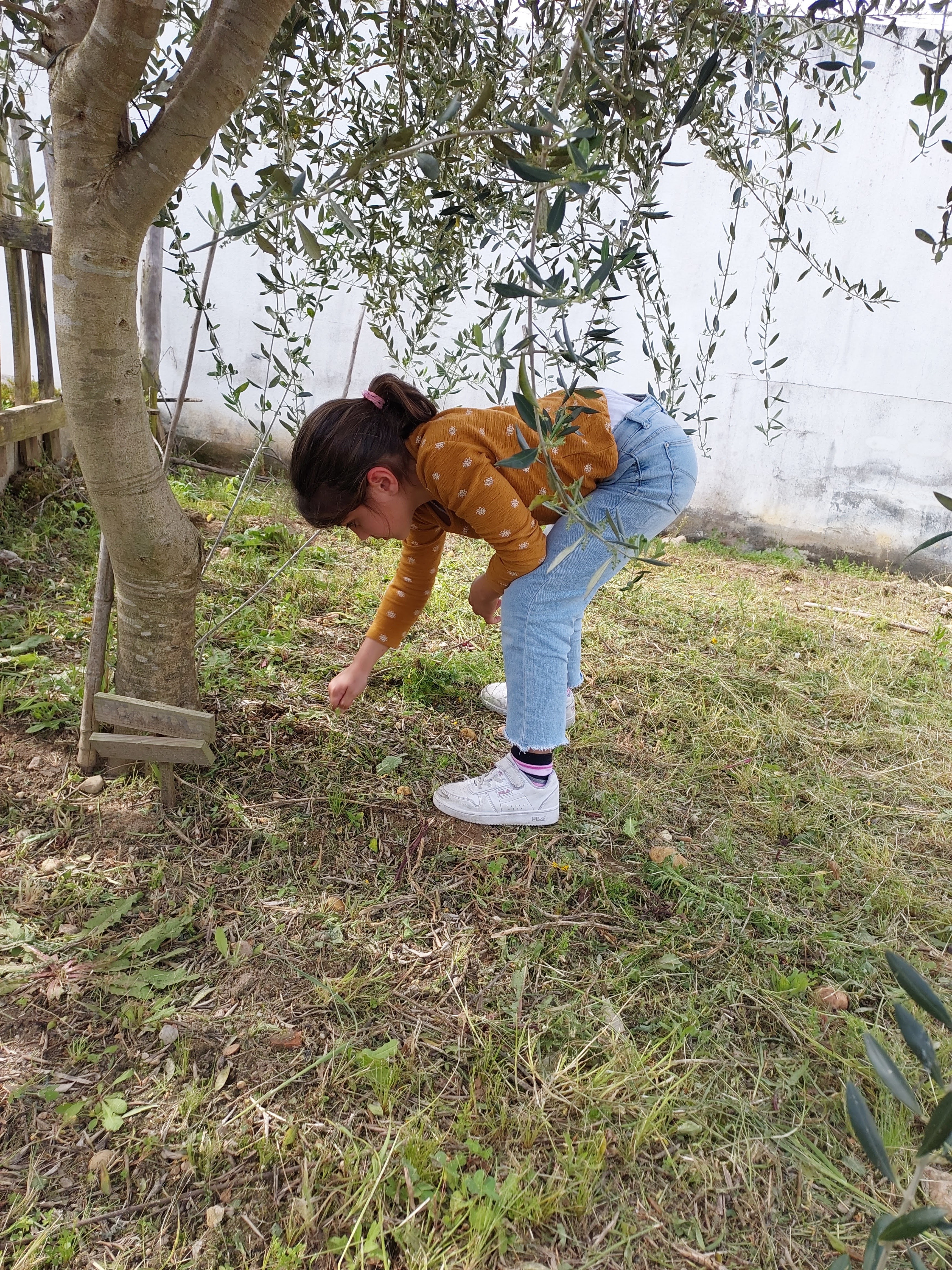 limpeza geral do terreno da horta