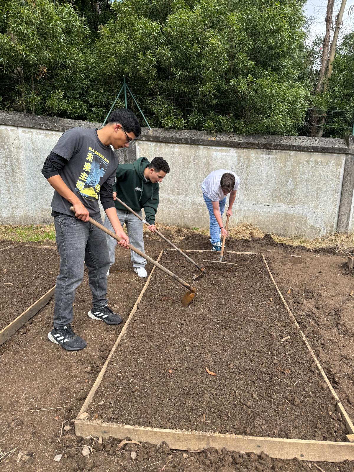 preparação dos talhões e início das plantações março_abril