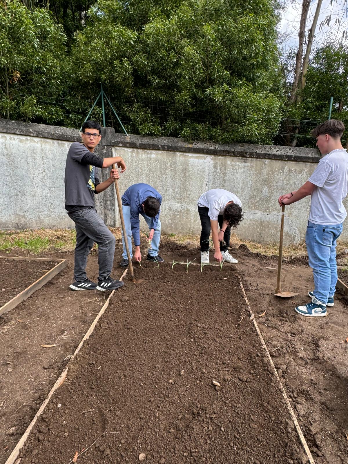 plantações de hortícolas da época