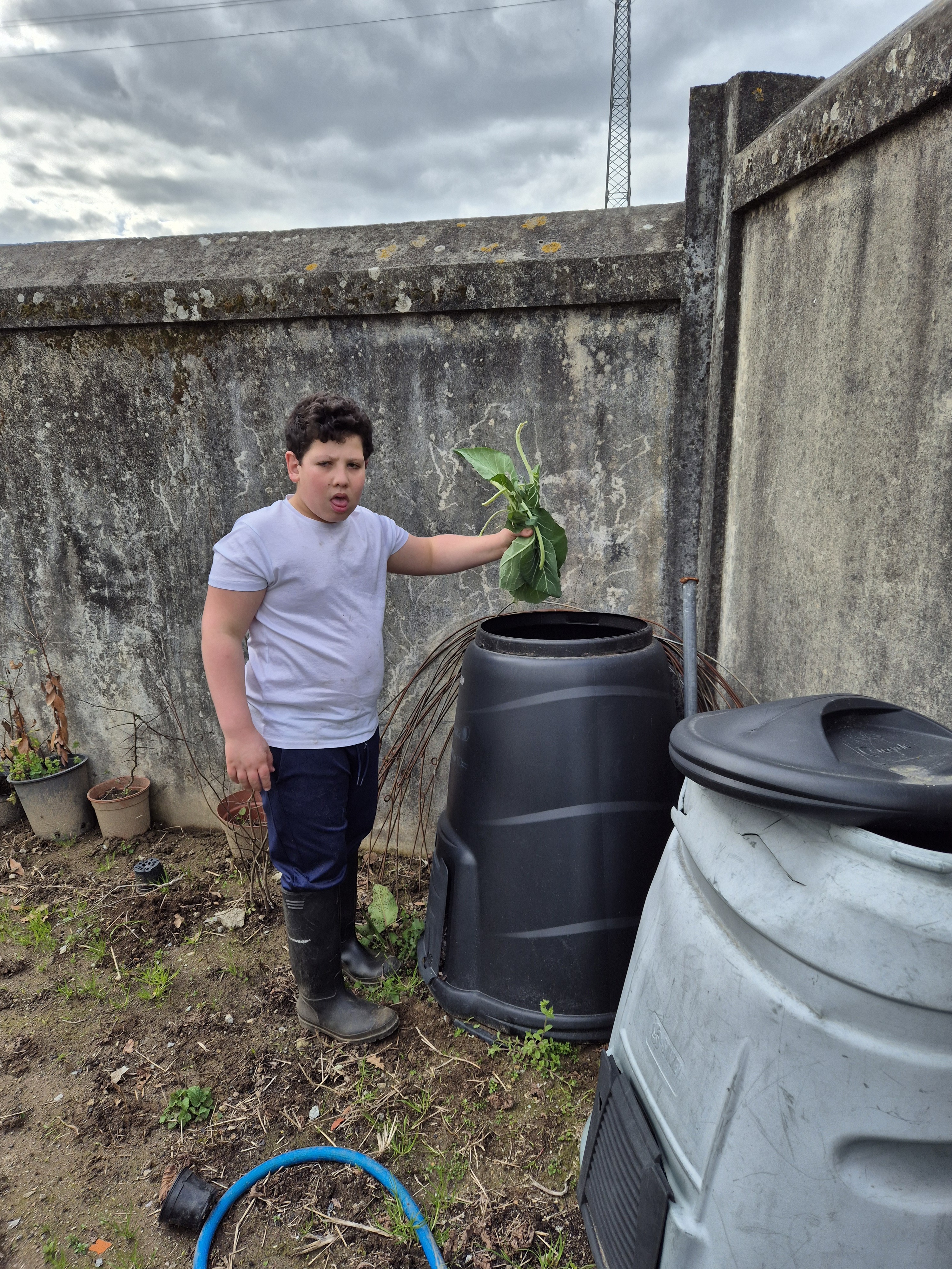5 - Colocação dos excedentes da estufa na compostagem.