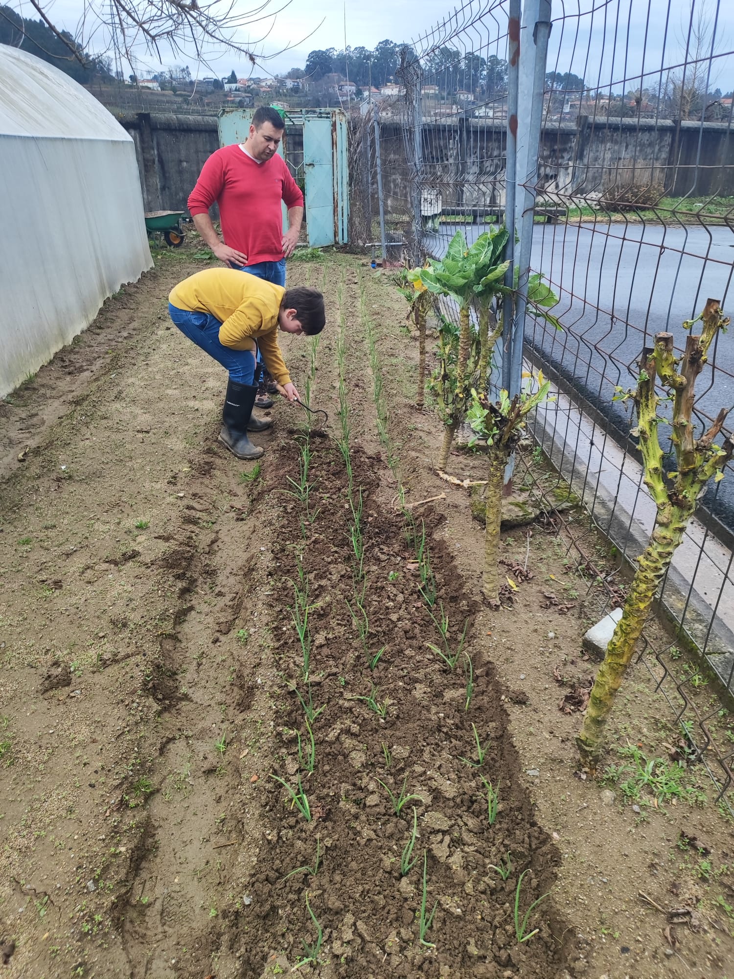 1 - Manutenção das plantações de Inverno.