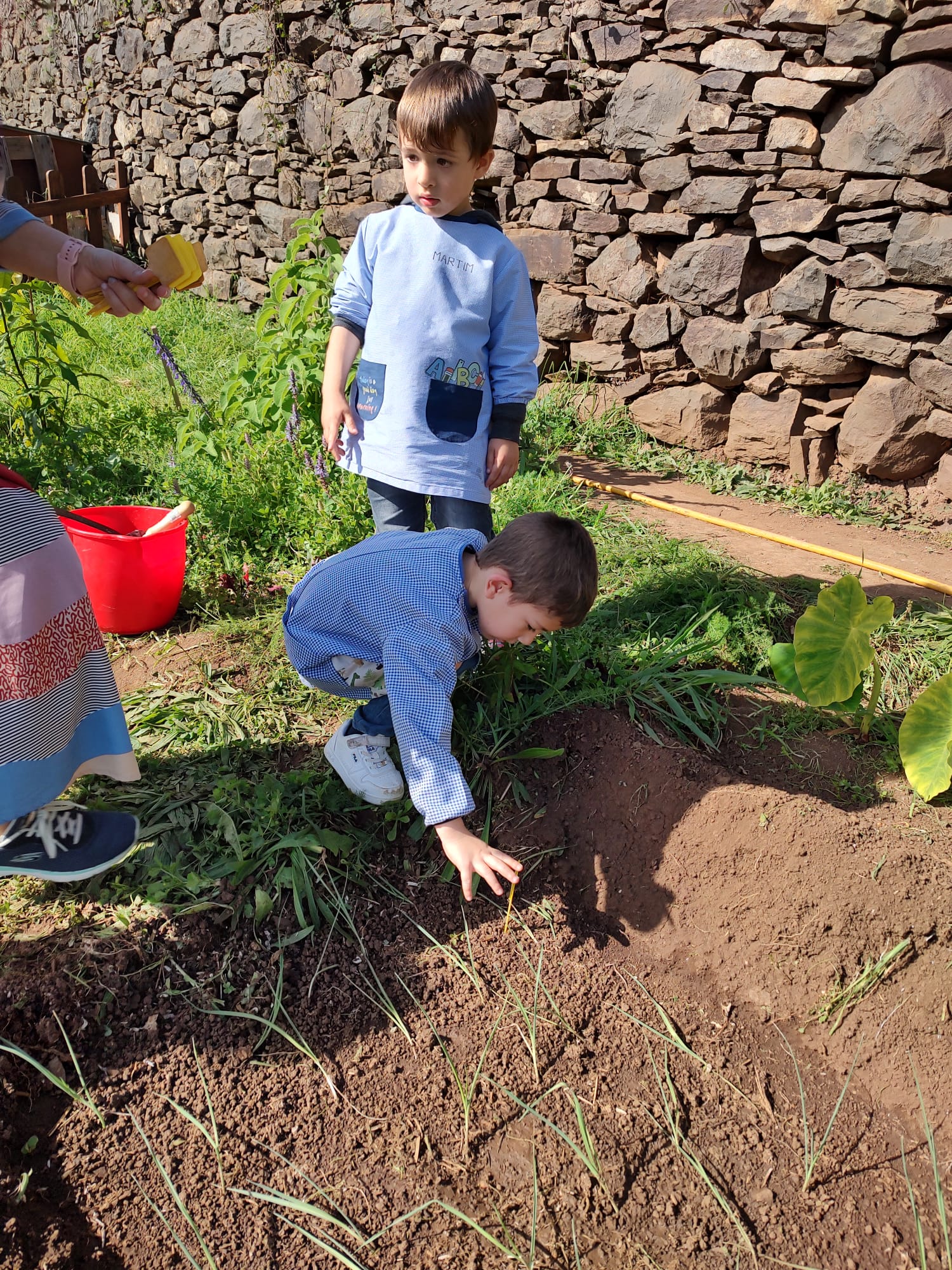 Identificação das plantações