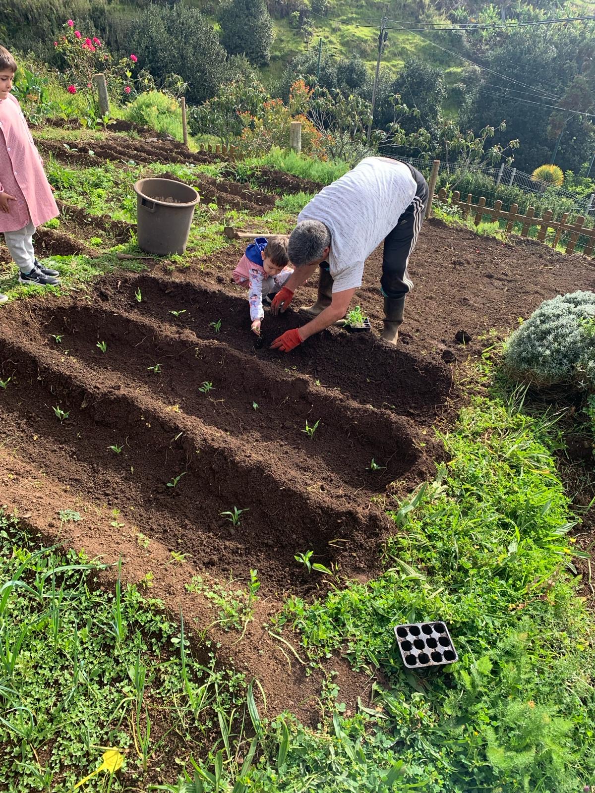 Plantação do Milho
