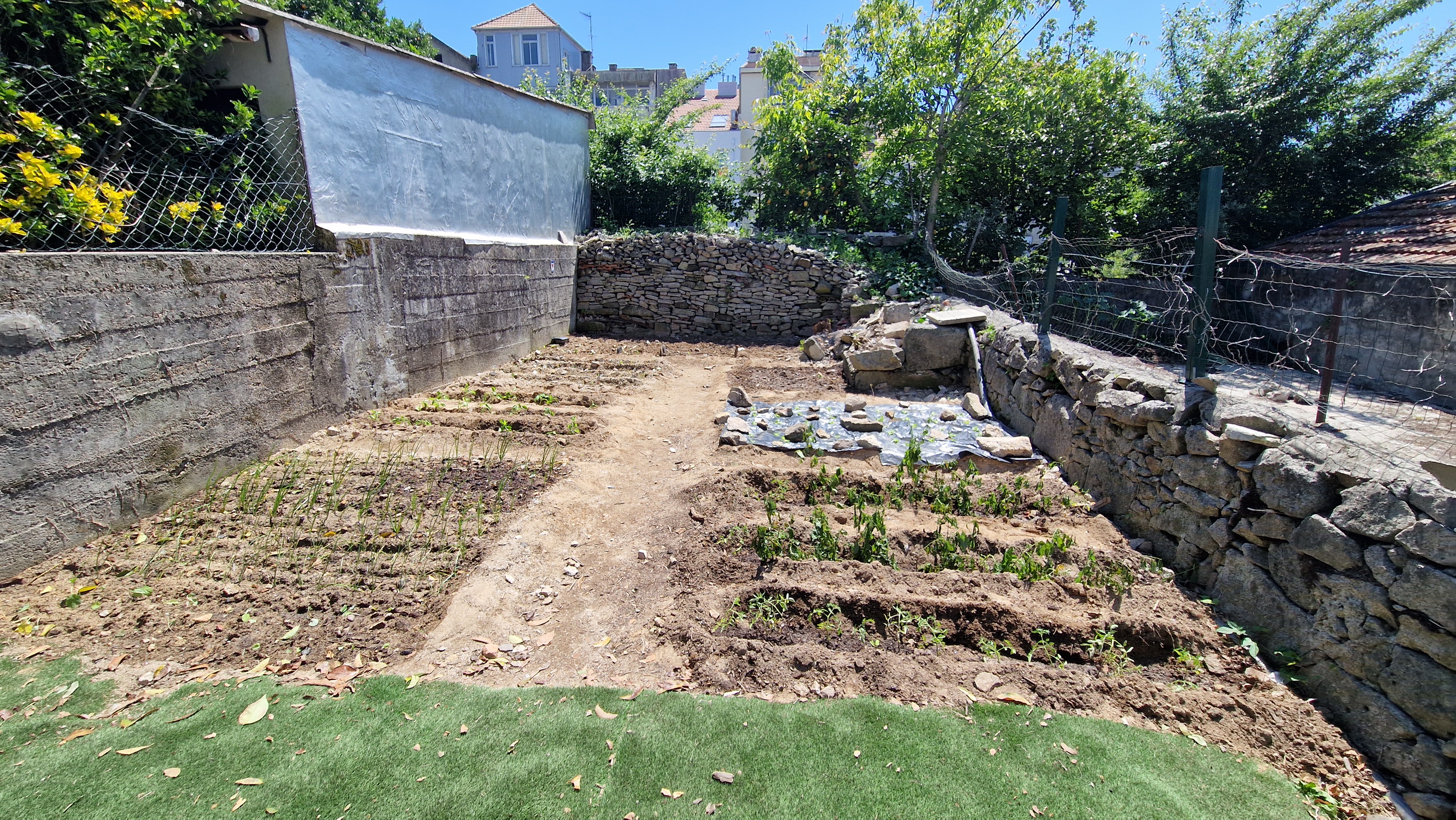 Vista geral dia horta com as diversas culturas plantadas.