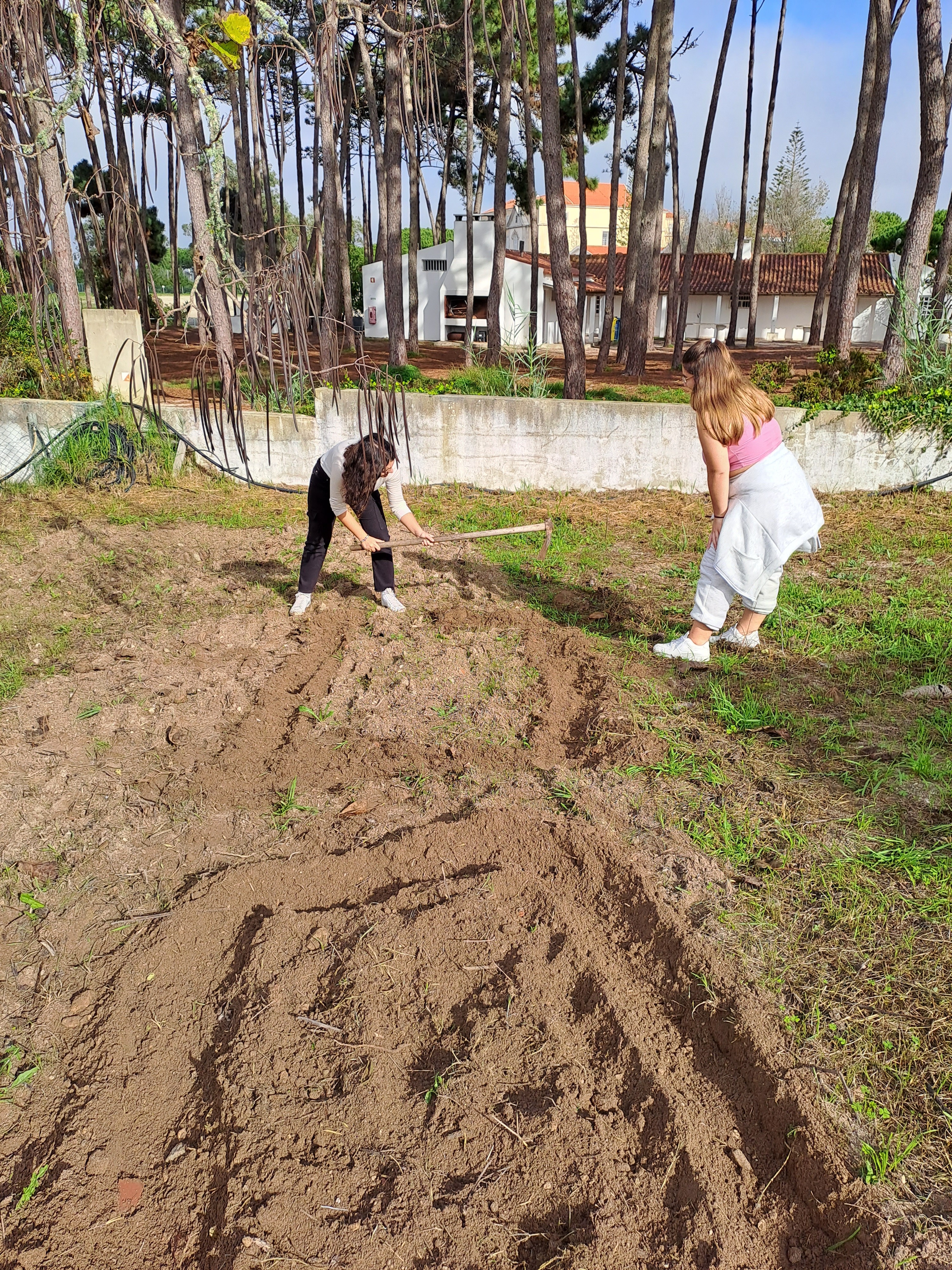 Preparação do terreno para a campanha de 2023-2024