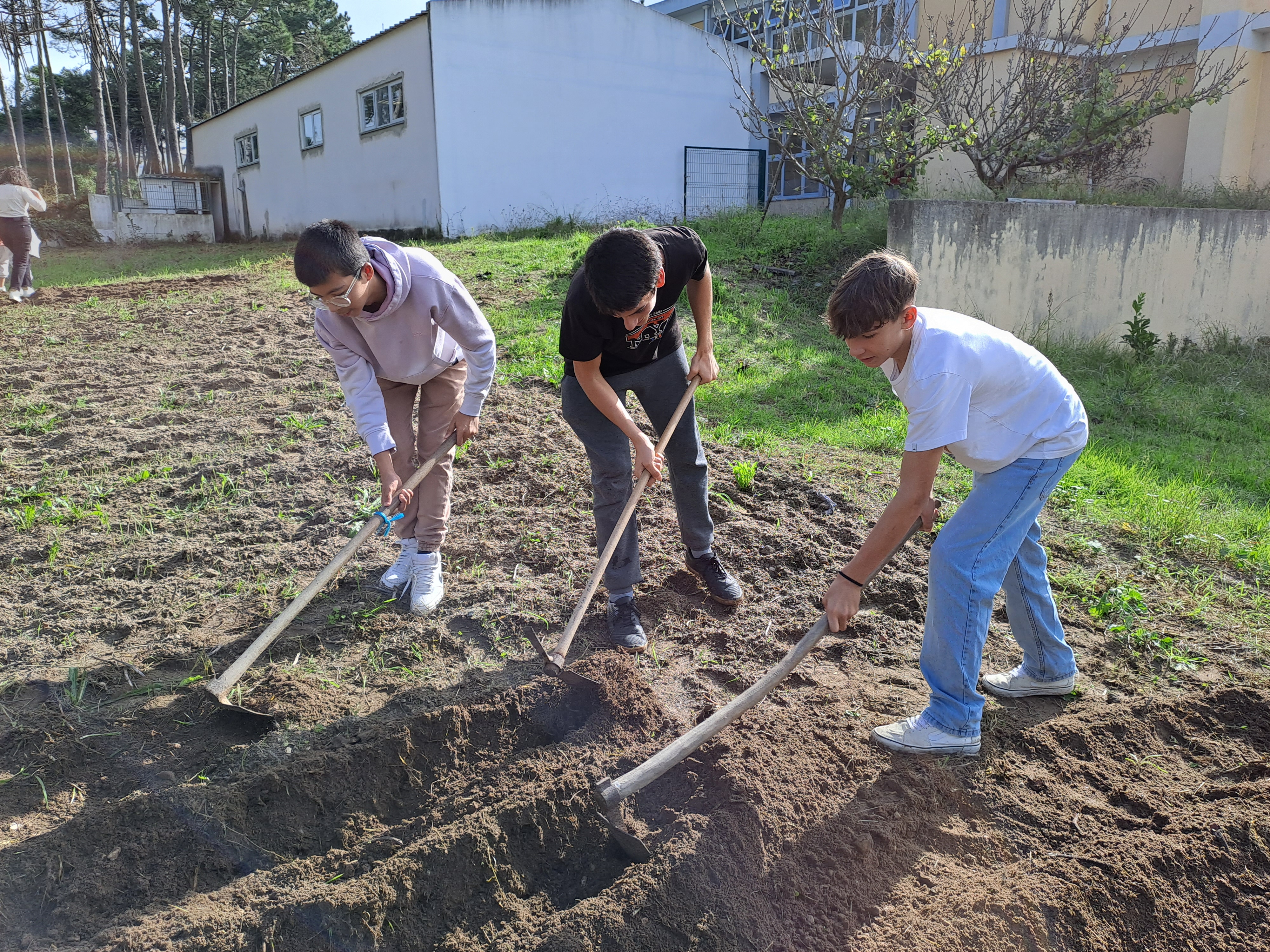 Preparação do terreno para a campanha de 2023-2024