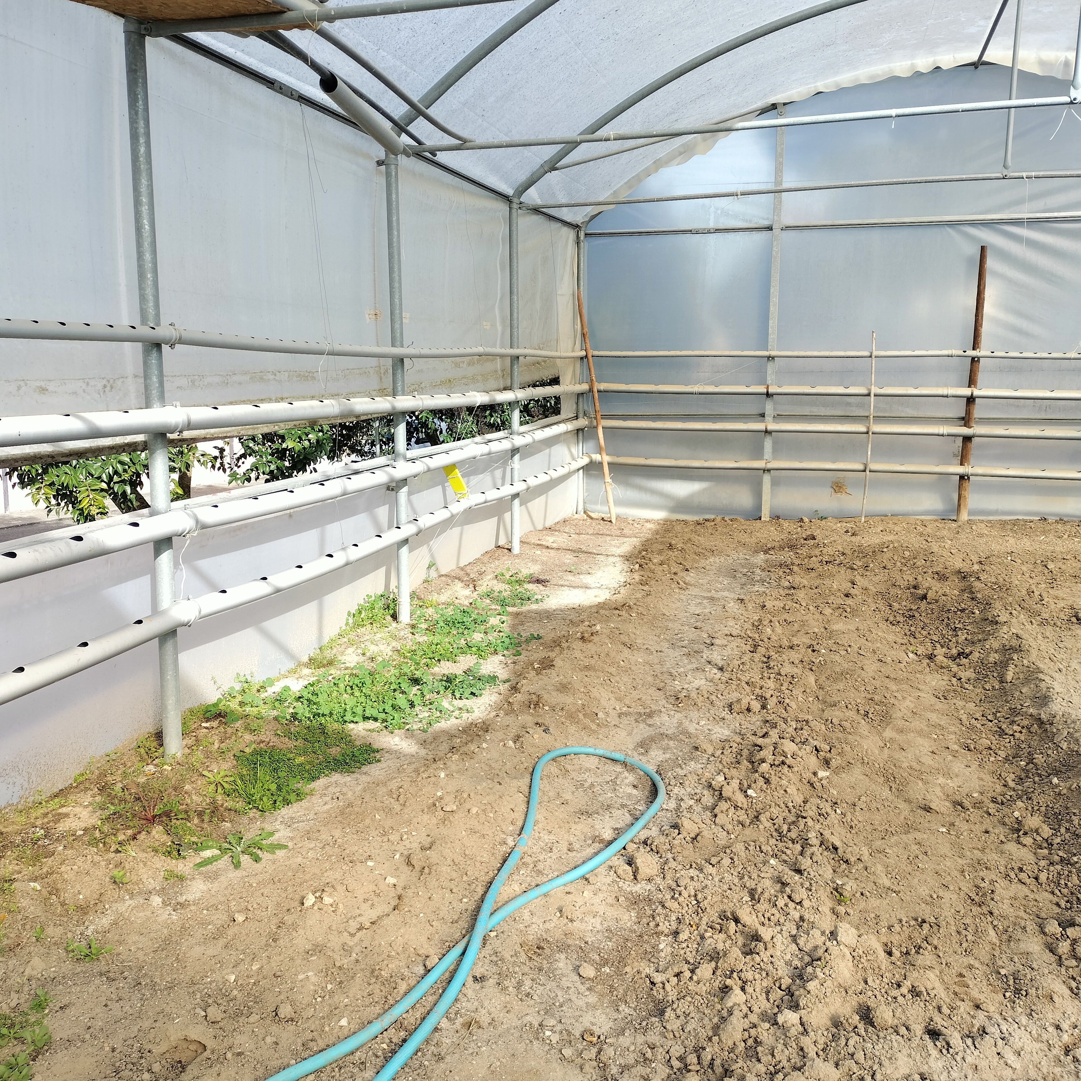 Aspeto geral do espaço que será a horta e que se encontra dentro de uma estufa.
