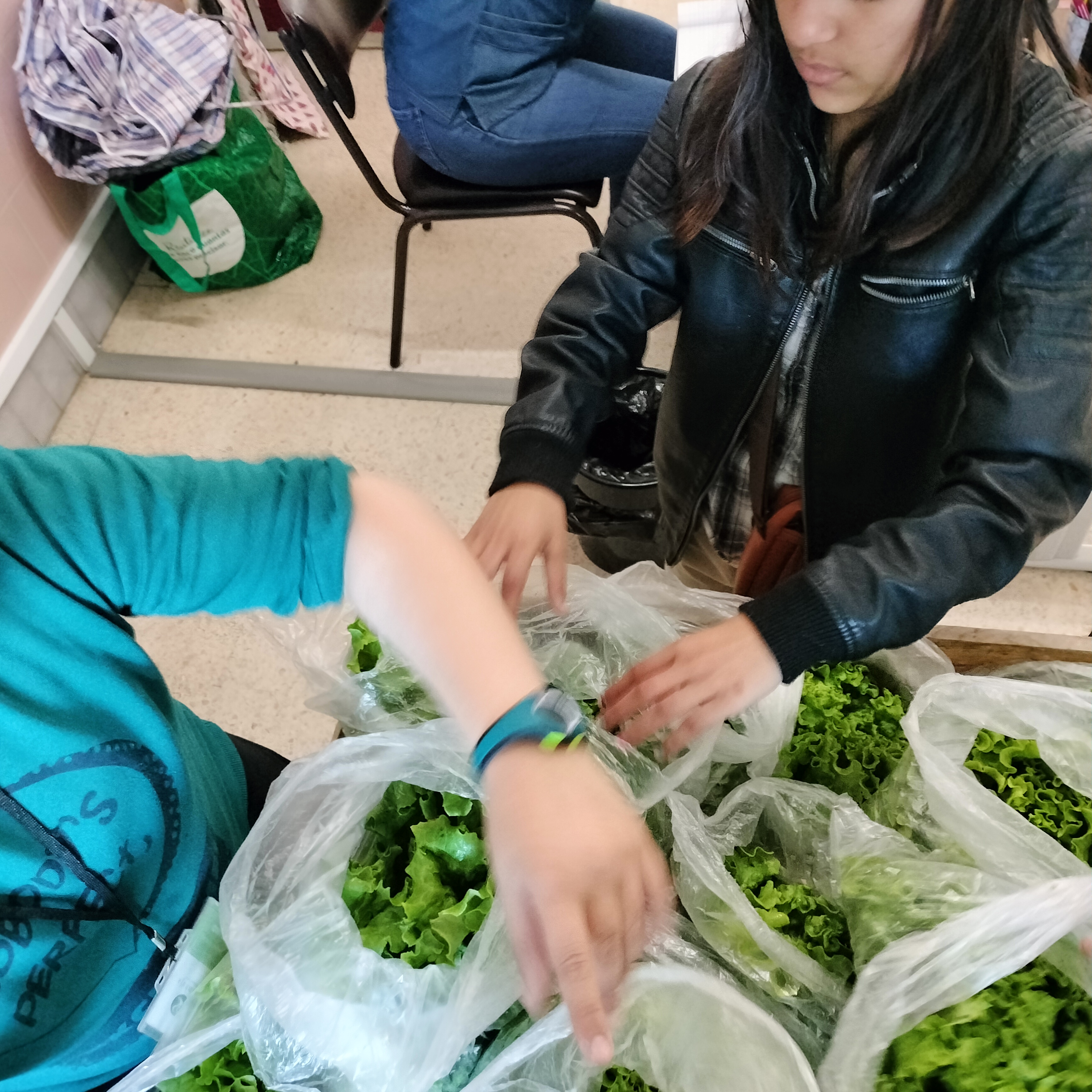 Acondicionamento dos legumes para venda.