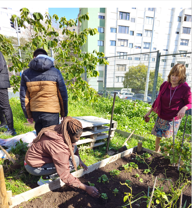 Plantando a Horta