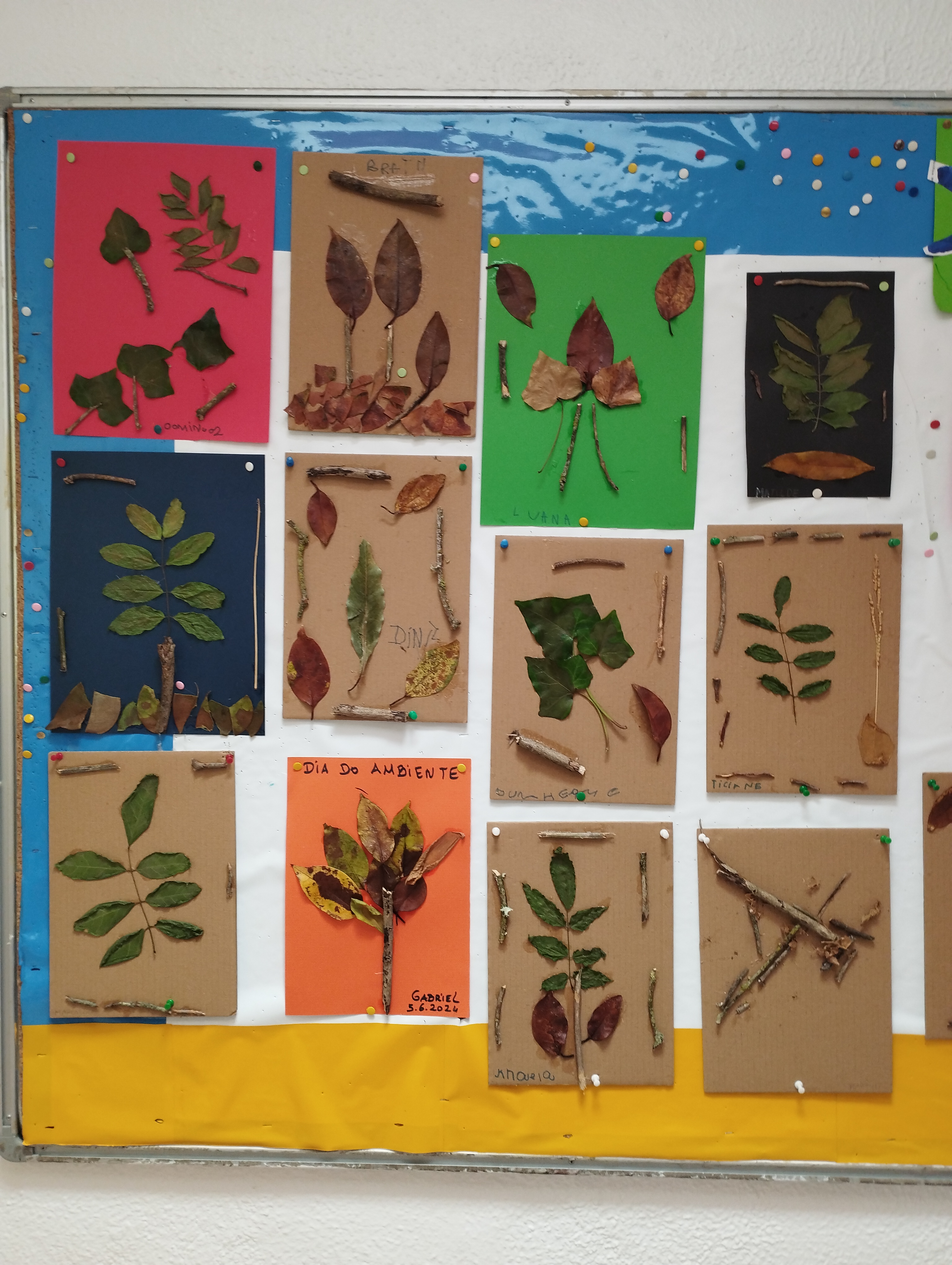 Criação de quadros com elementos da natureza, recolhidos no espaço exterior da escola