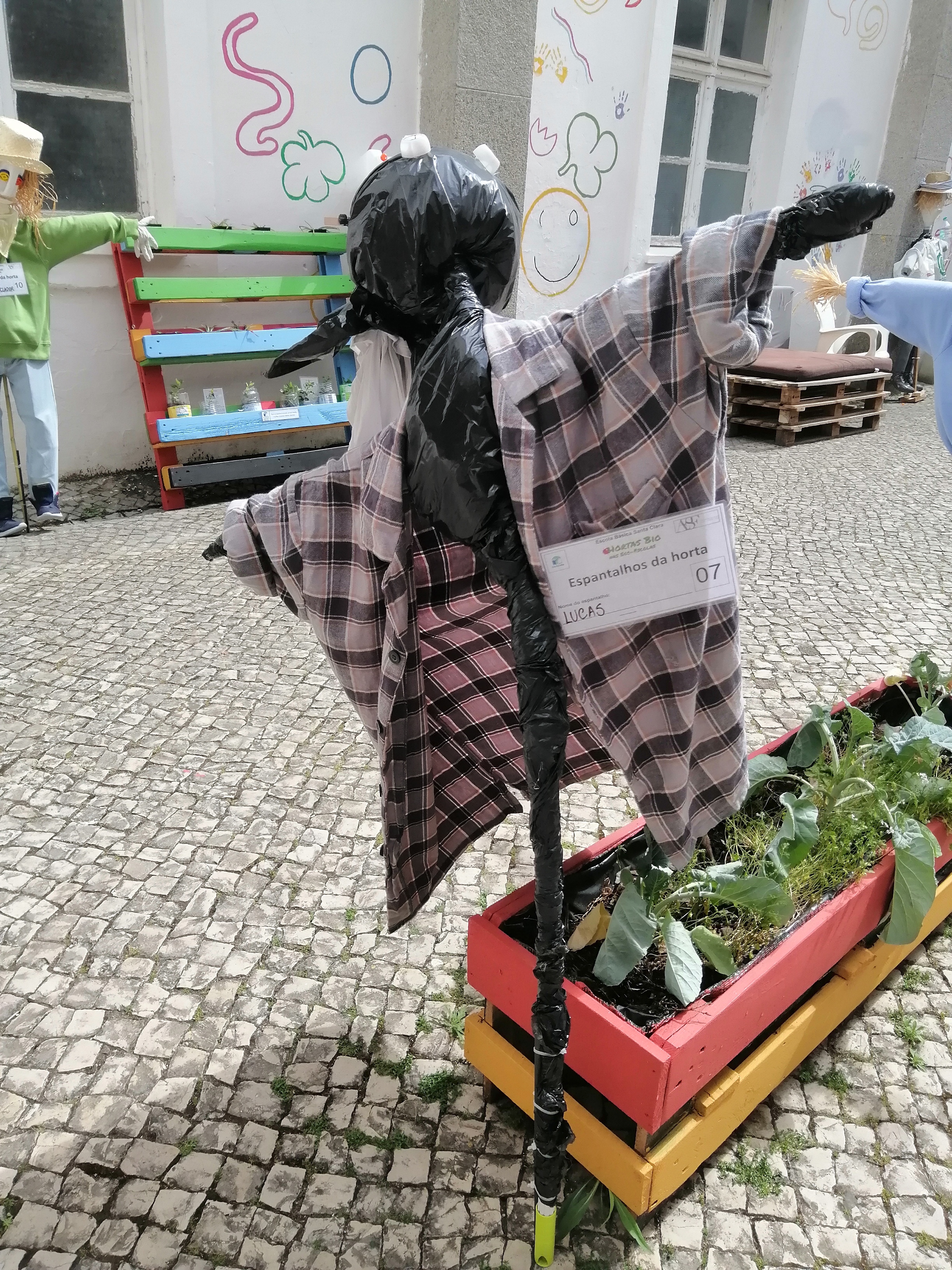 Couve e coentros (guardados)