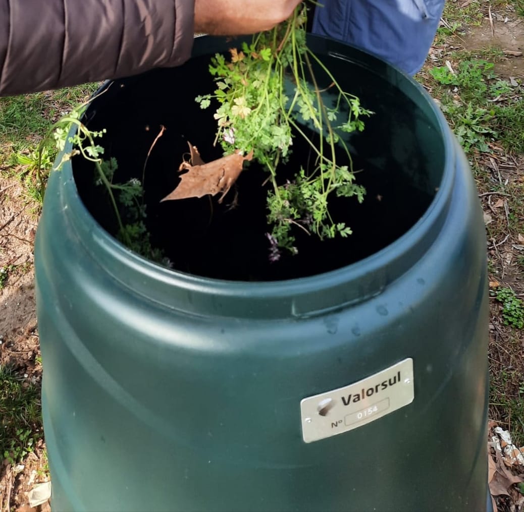 Compostagem.