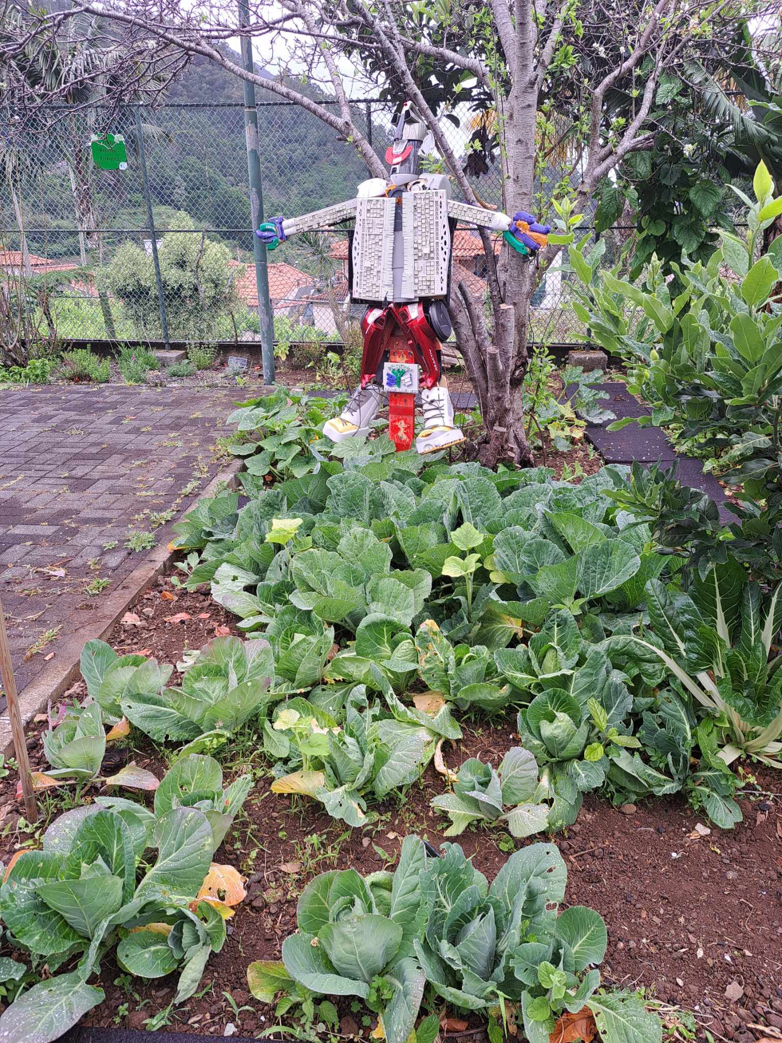 A nossa horta