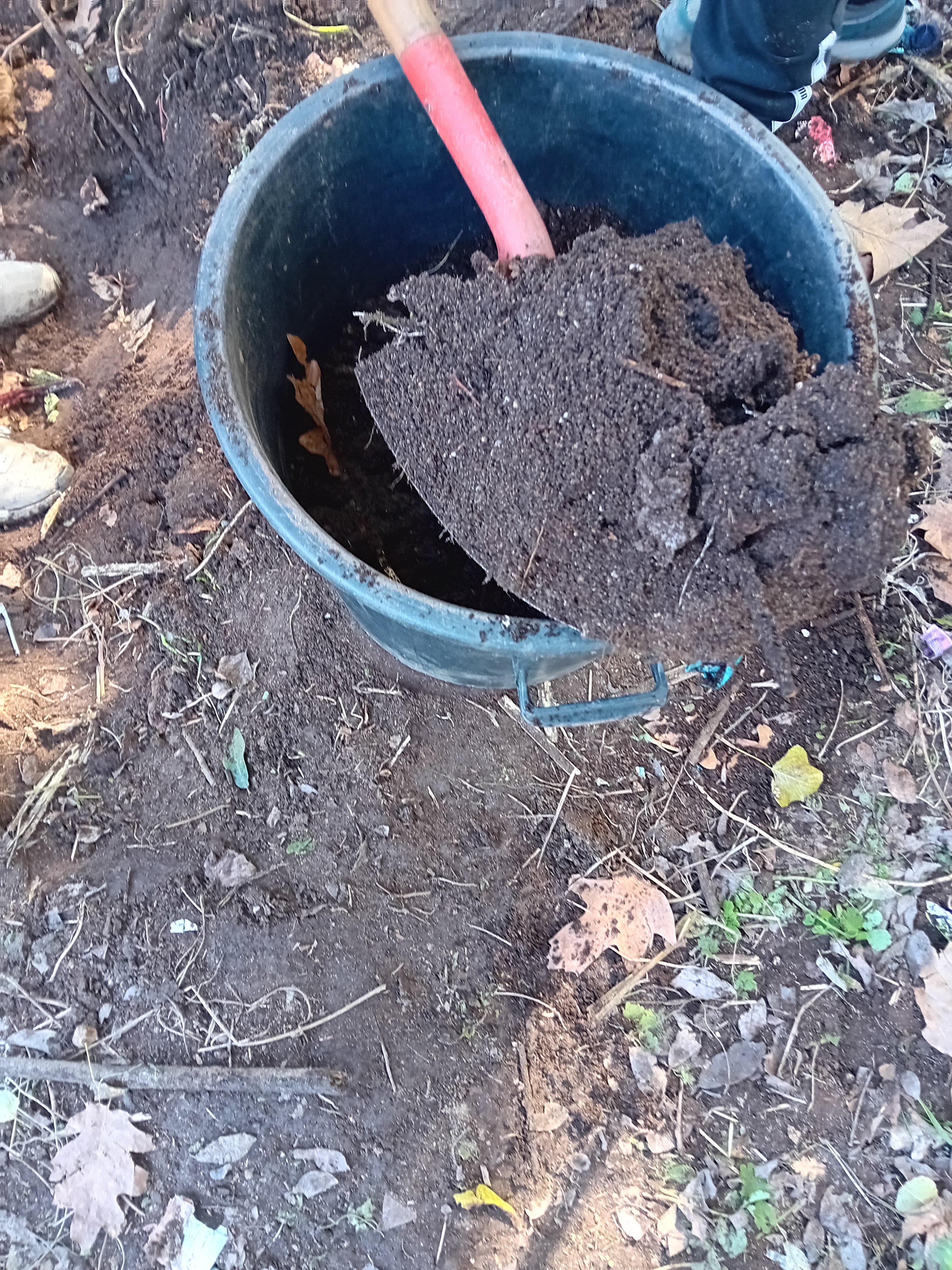 Recolha de compostos na pilha de compostagem