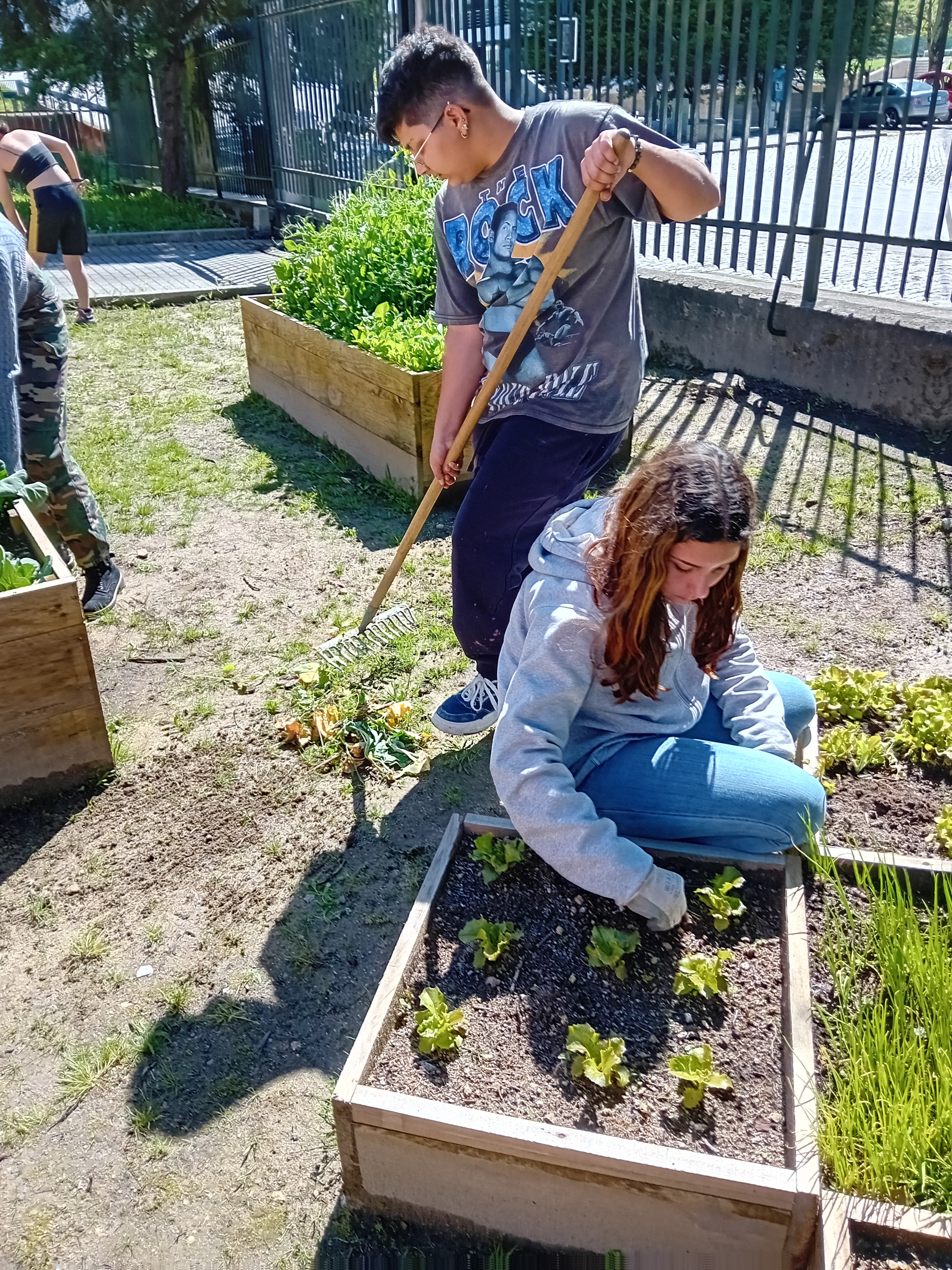 Manutenção da horta, Monda e recolha de detritos para a compostagem.