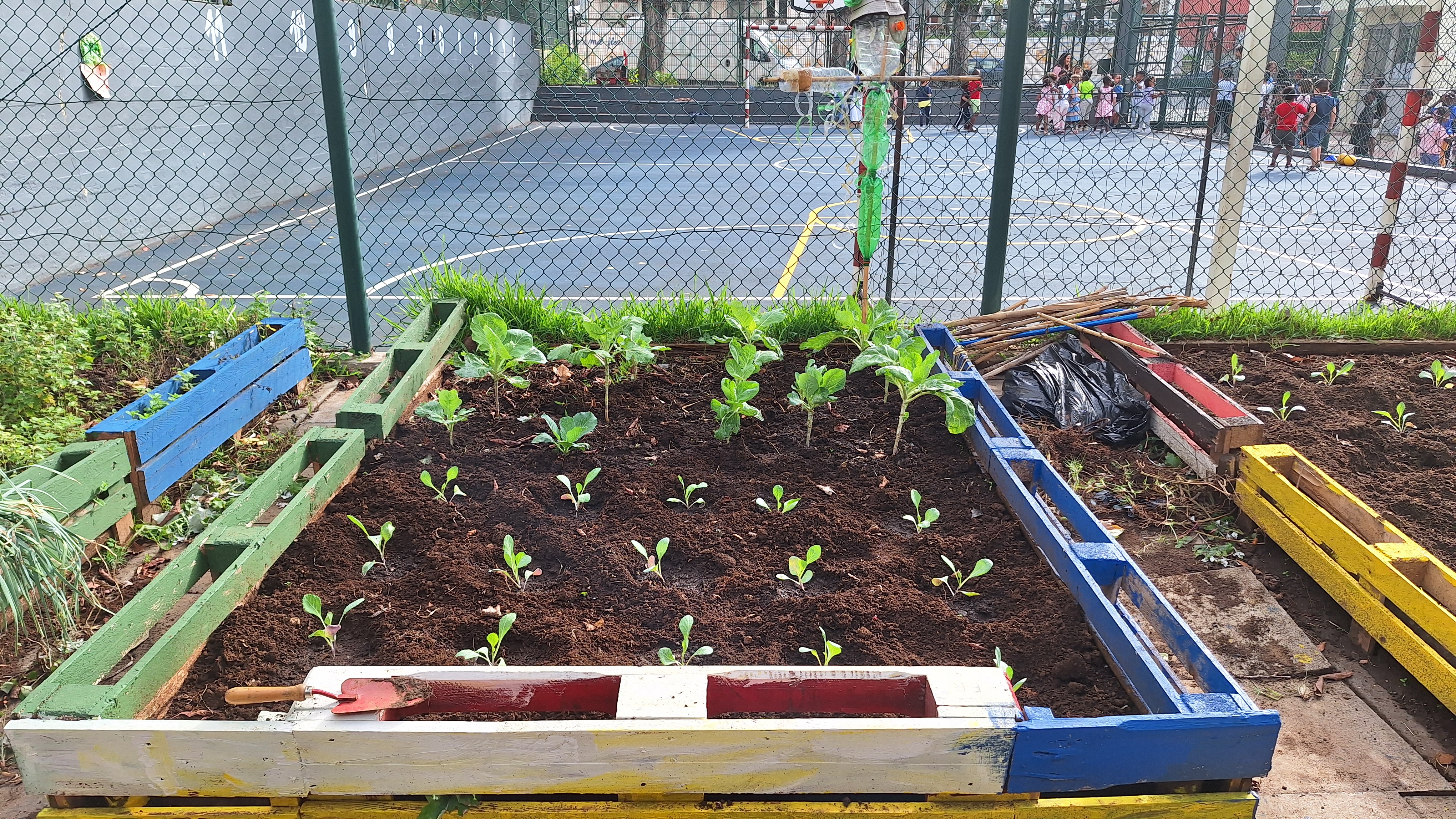 horta pedagógica após nova plantação.