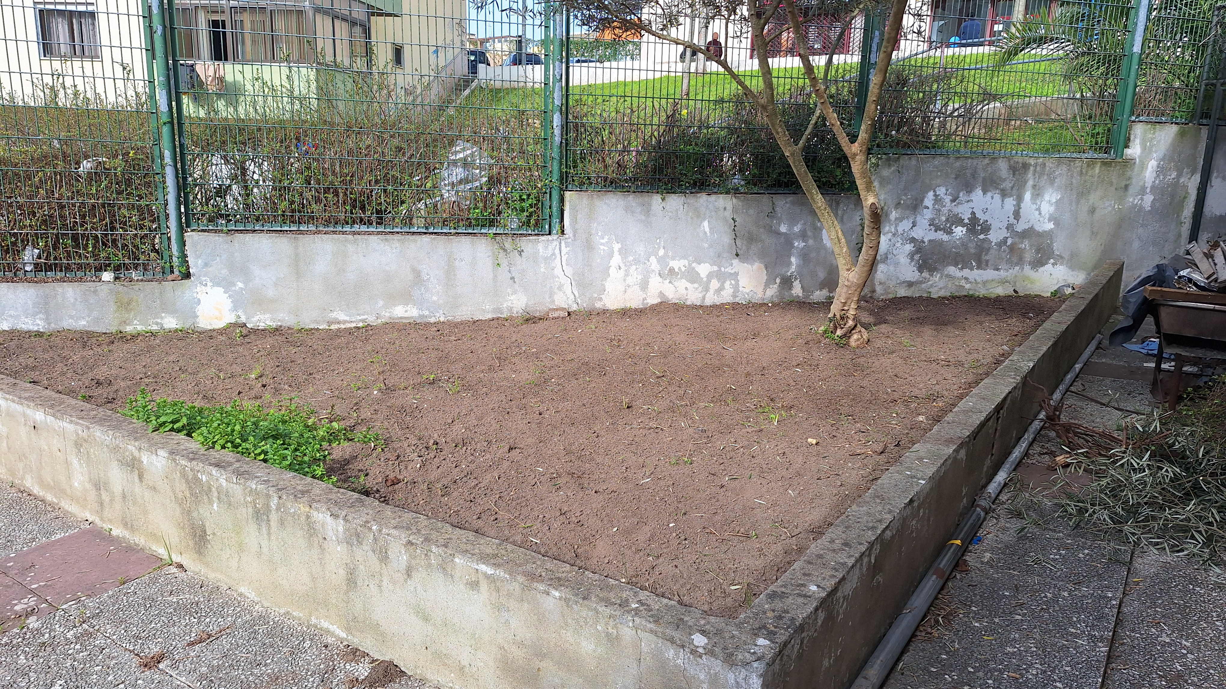 Espaço da horta nas traseiras da escola já fresada e preparada para cultivo.