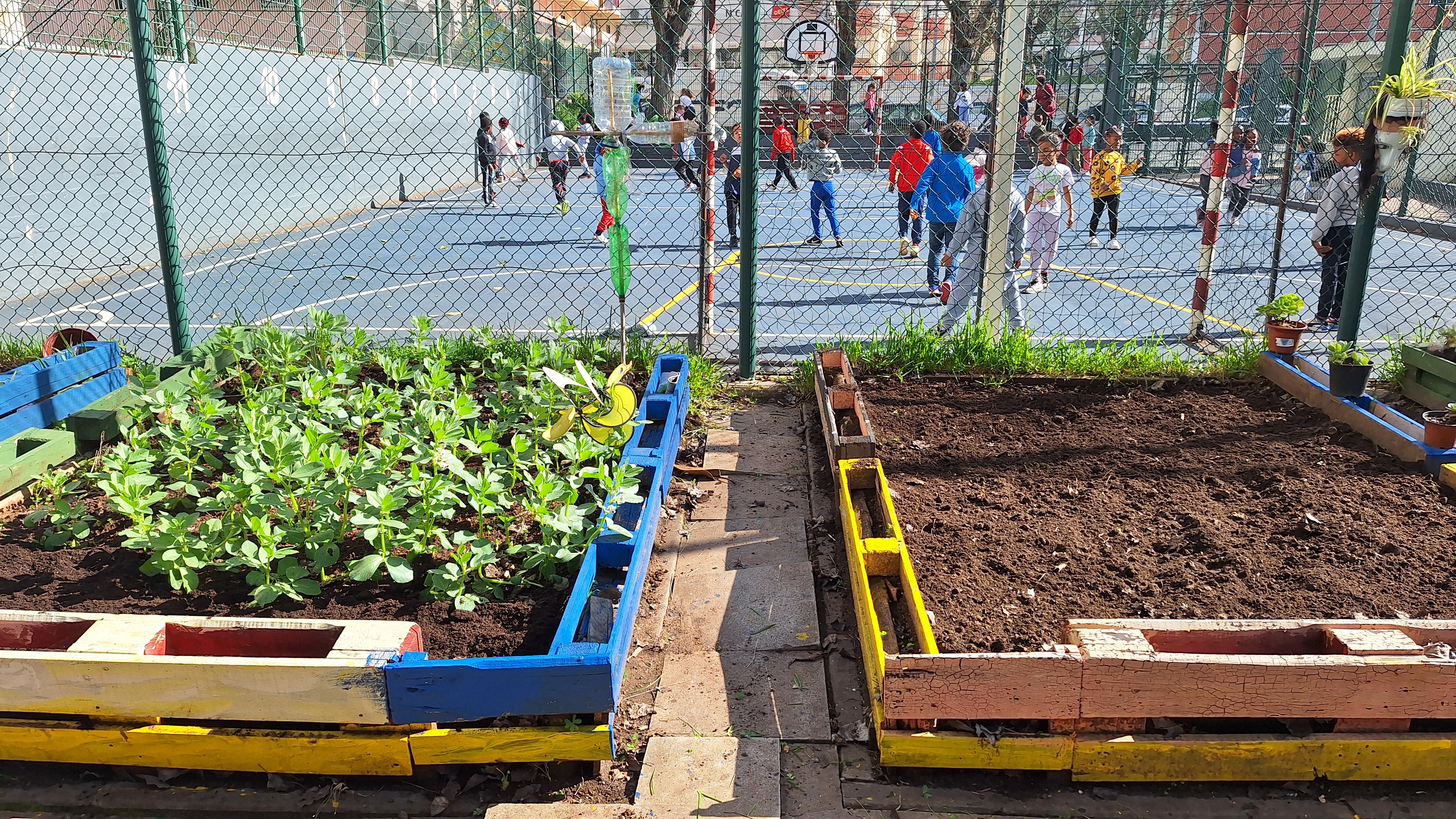 Horta pedagógica interligada com o espaço de recreio