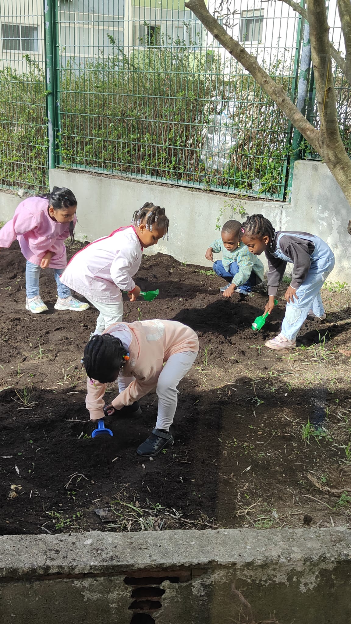 Alunos do pré-escolar cuidam da horta da escola.