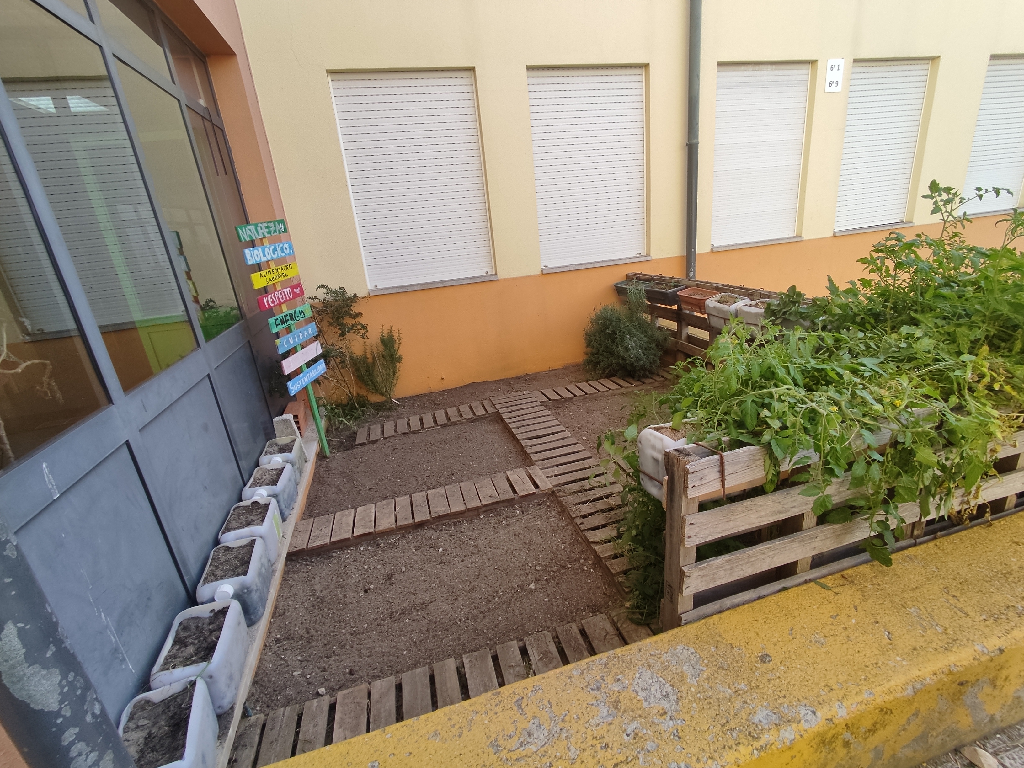 Pós - limpeza.