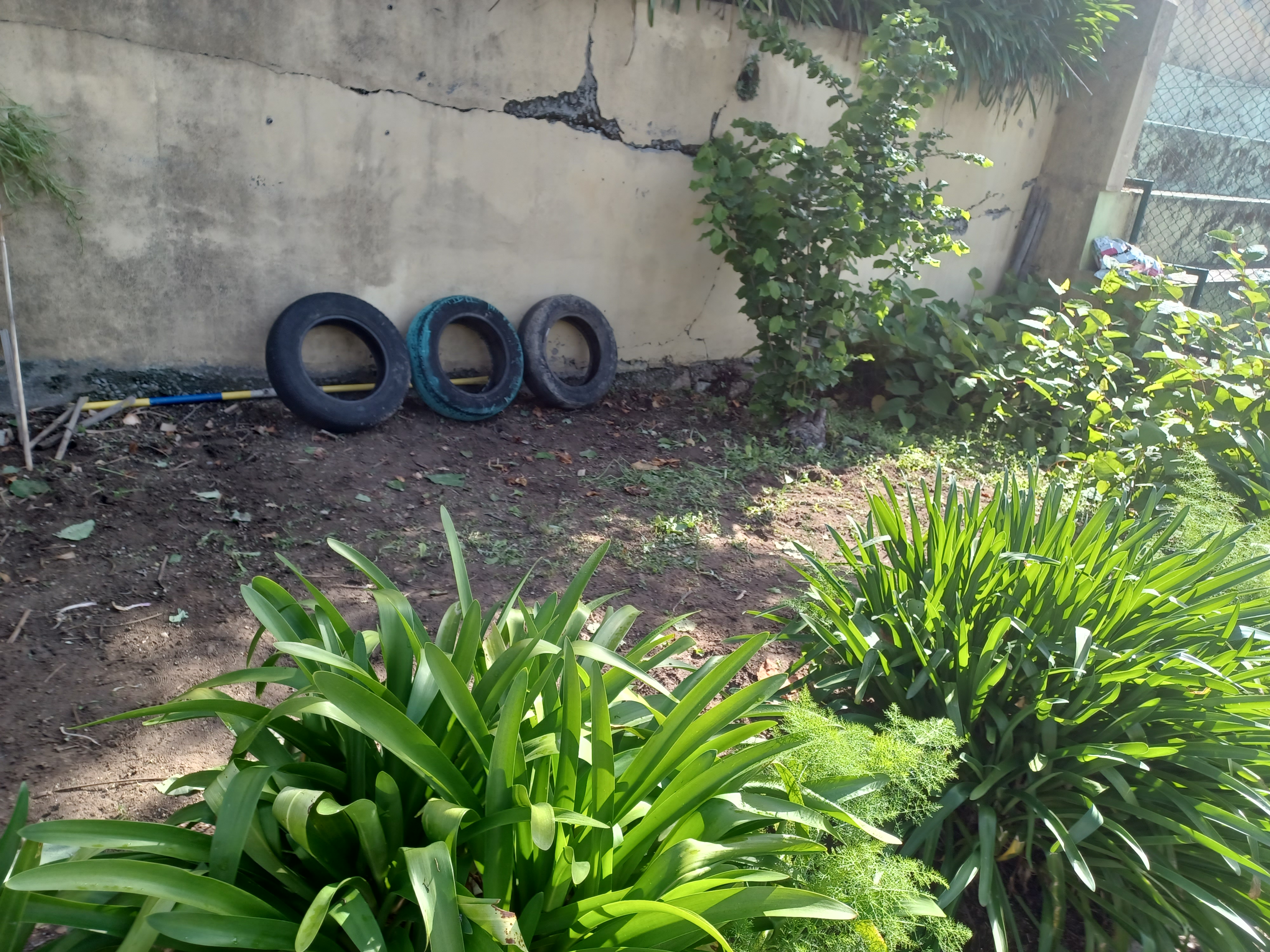 Eco-Horta após  a limpeza