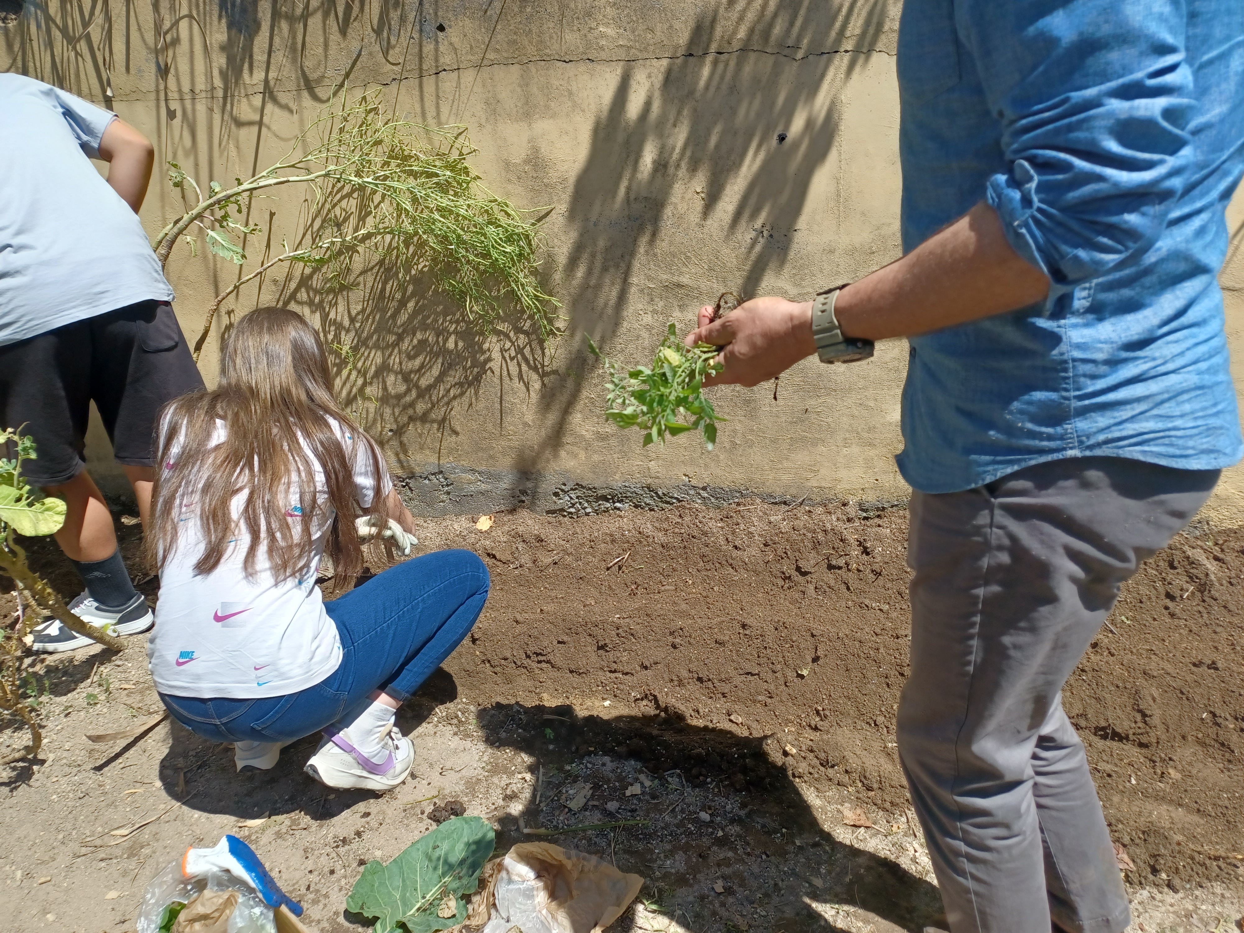 Trabalho de plantação
