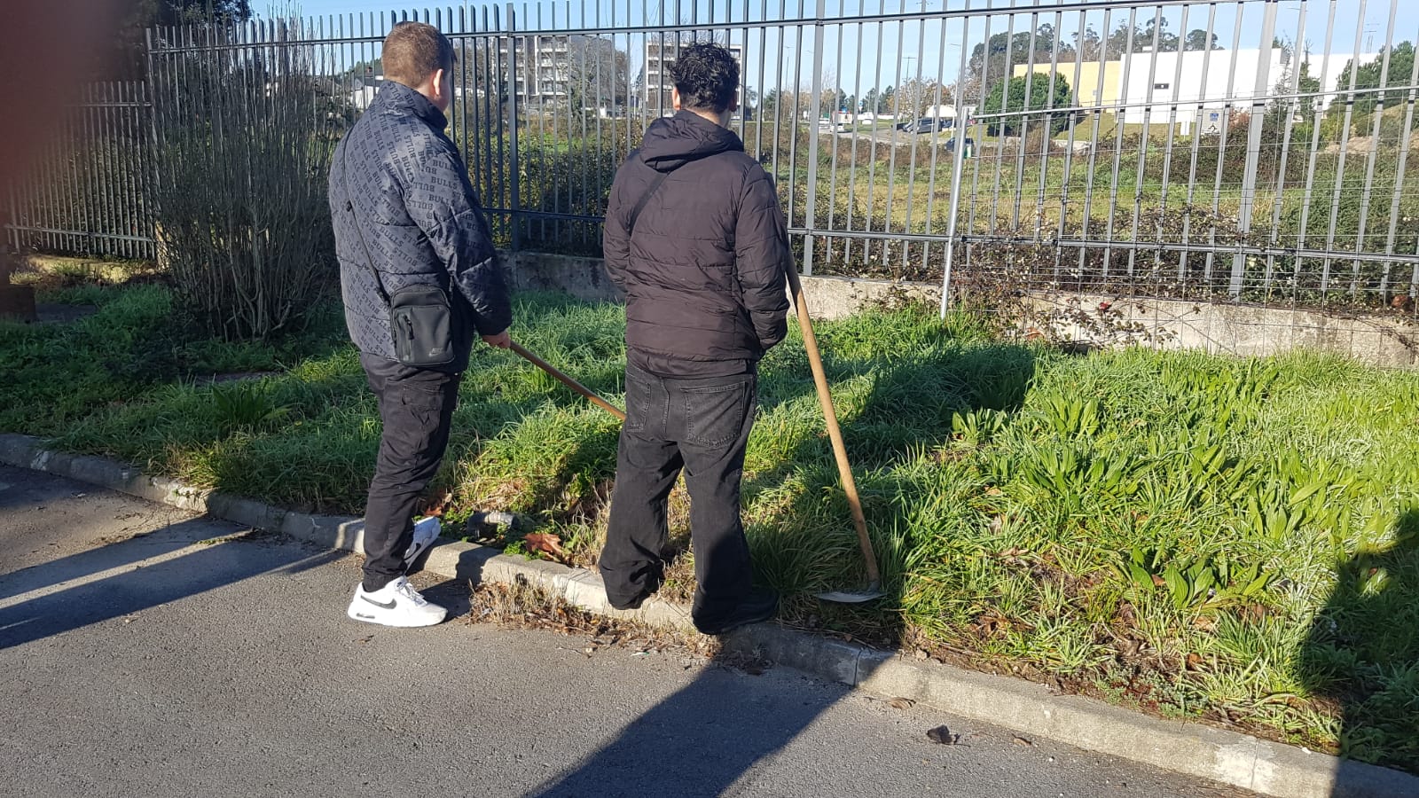 Os alunos a preparar o terreno removendo as ervas.