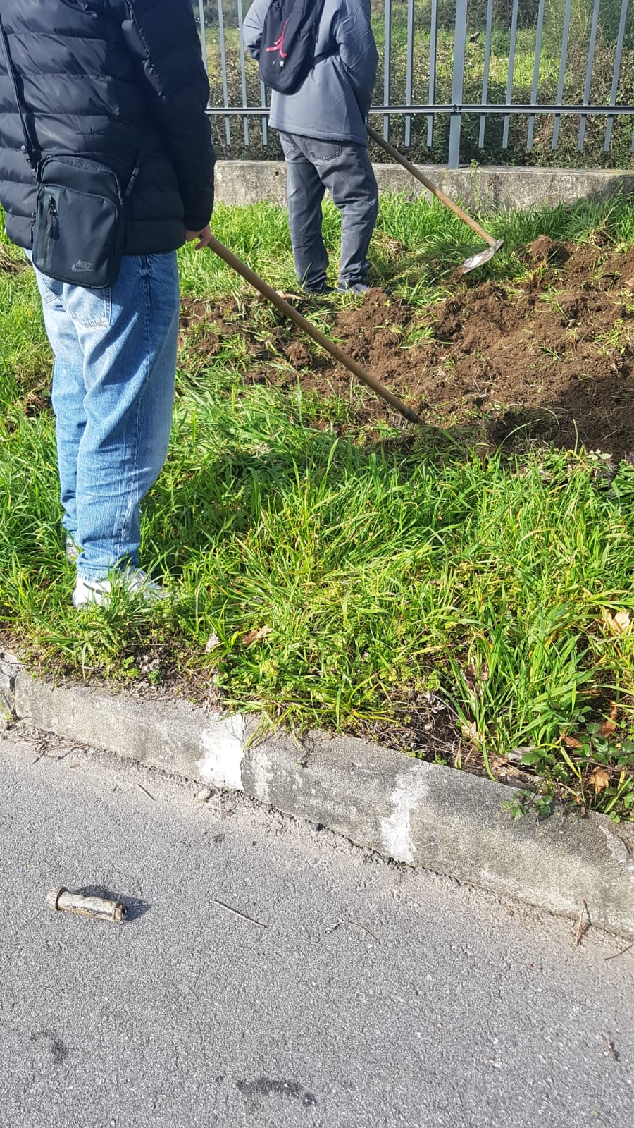 Uma parte do espaço da futura horta desbravado.