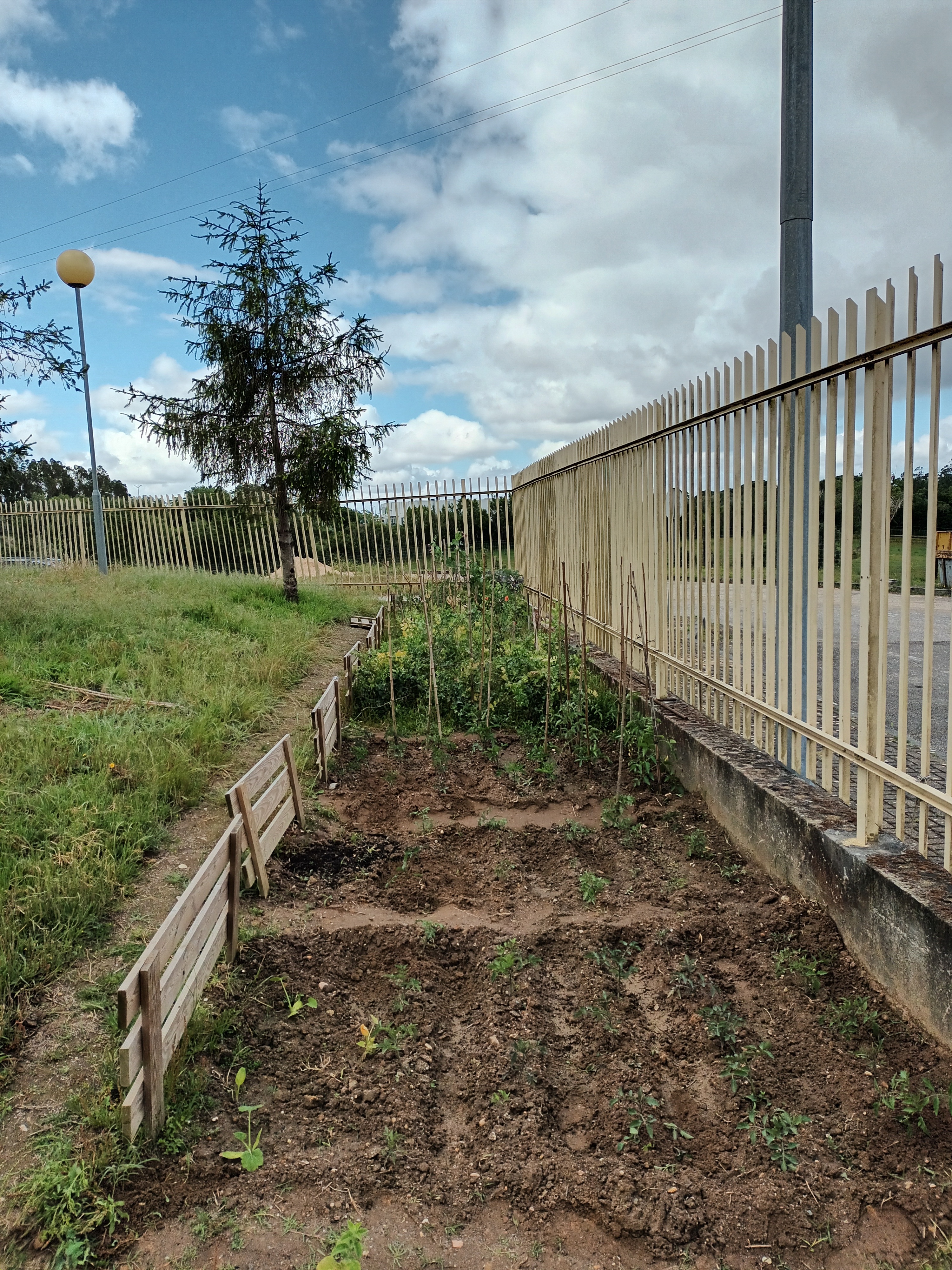 A horta pronta para receber as culturas de Primavera