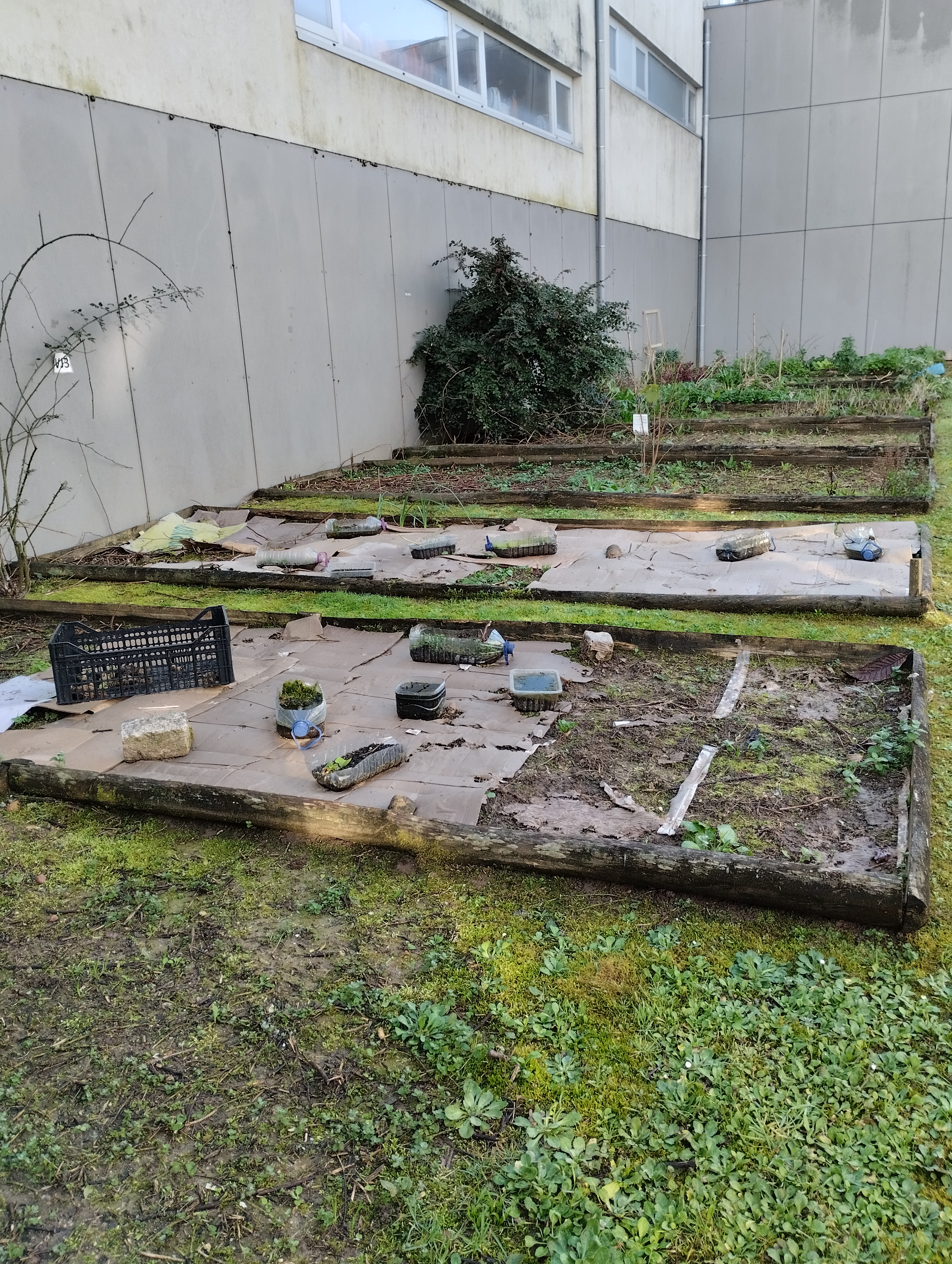"Terra dos pequenos jardineiros"
Planear o espaço a cultivar.