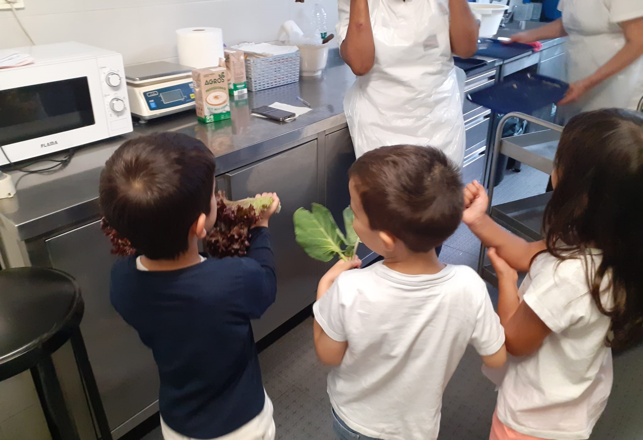 Entrega dos legumes na cozinha do colégio