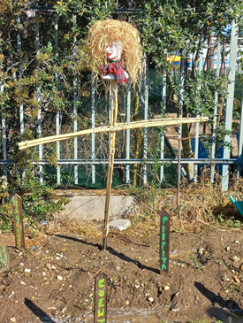 Espantalho
Descrição: Os alunos construíram um espantalho e placas identificativas em madeira reutilizada do produto hortícola plantado.
