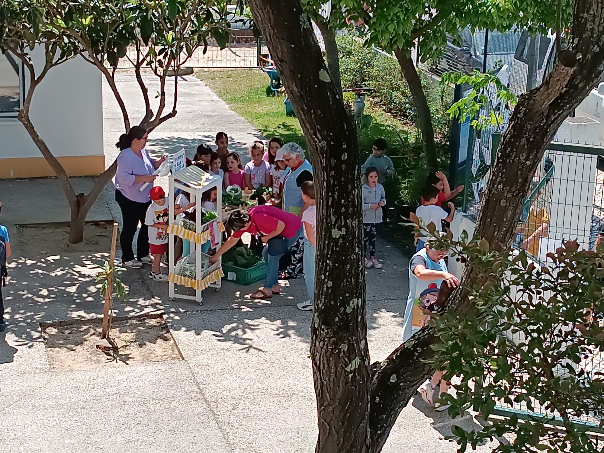 A nossa venda de legumes à porta da escola.