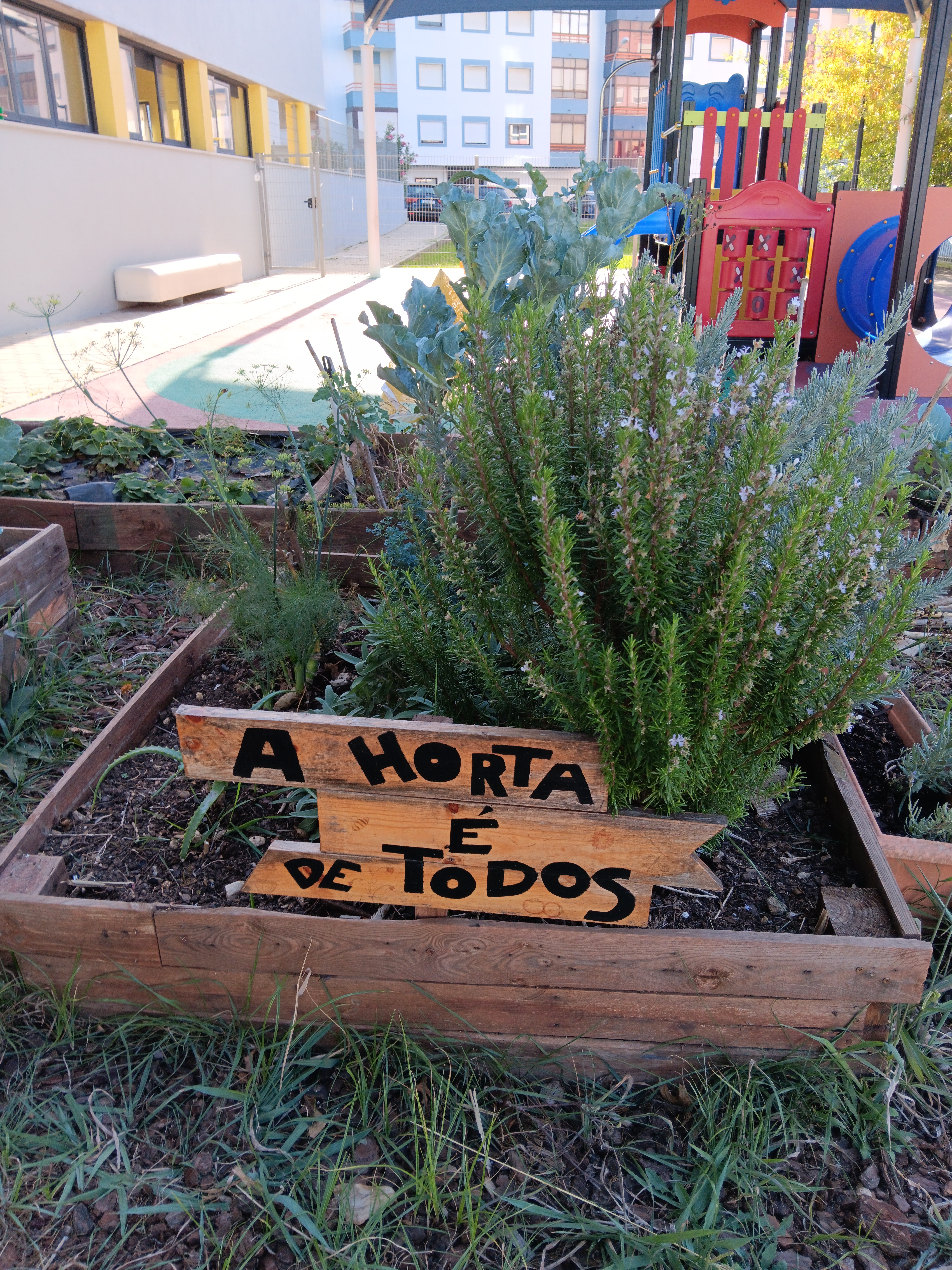 Sinalética
"A horta é de todos"
