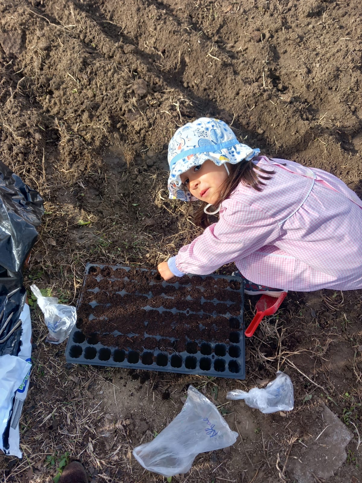 Fazer as primeiras sementeiras para serem plantadas.