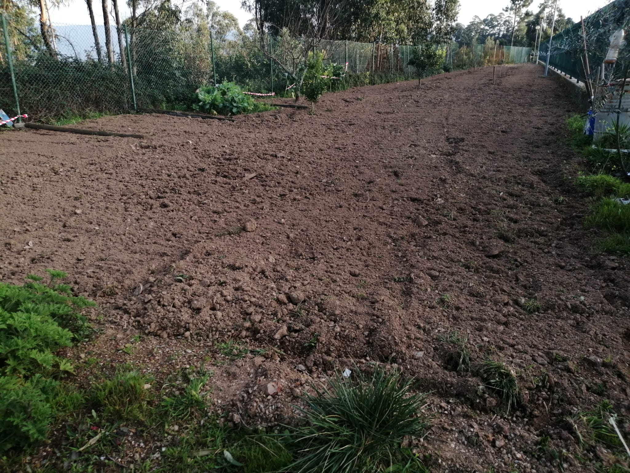 Preparação da horta.