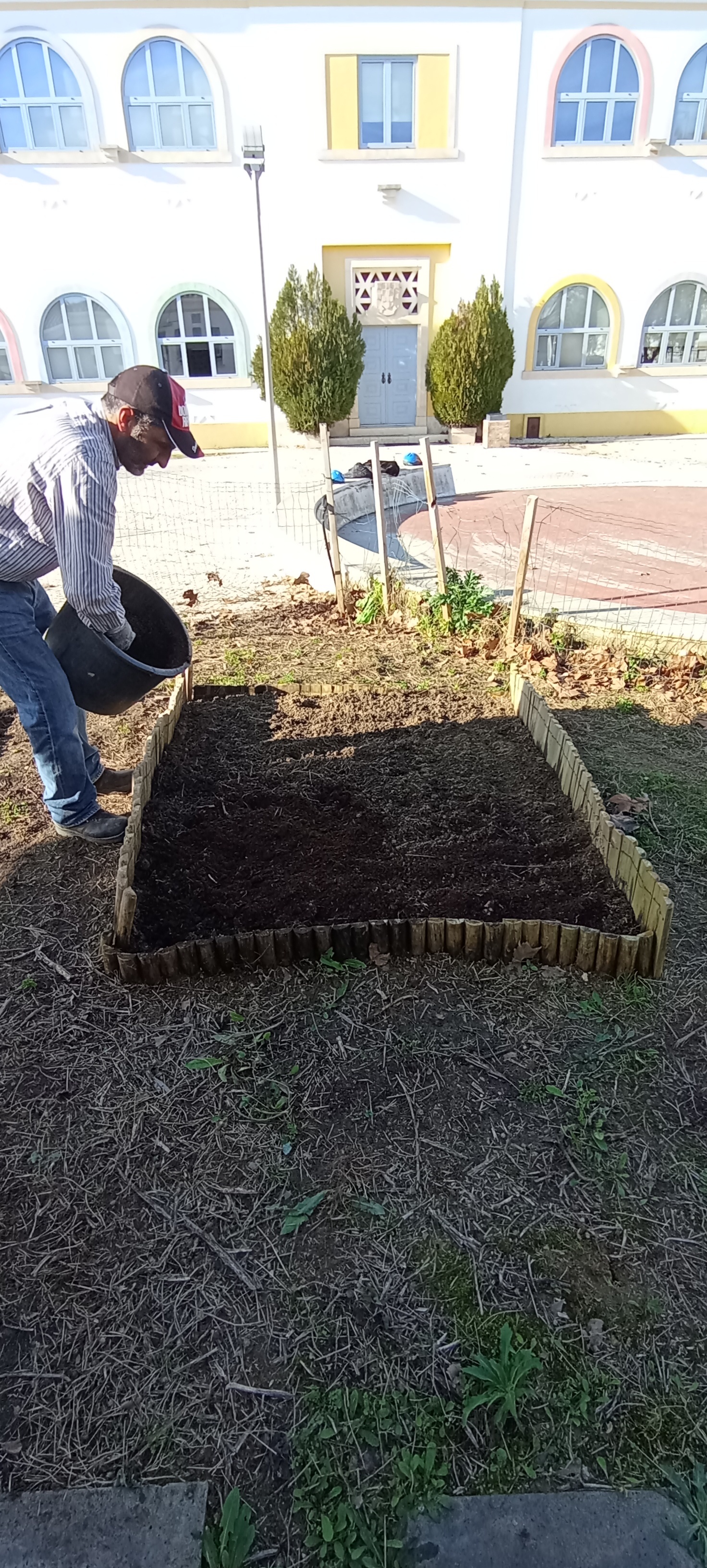 Colocação de estrume de cavalo para fertilizar a terra.