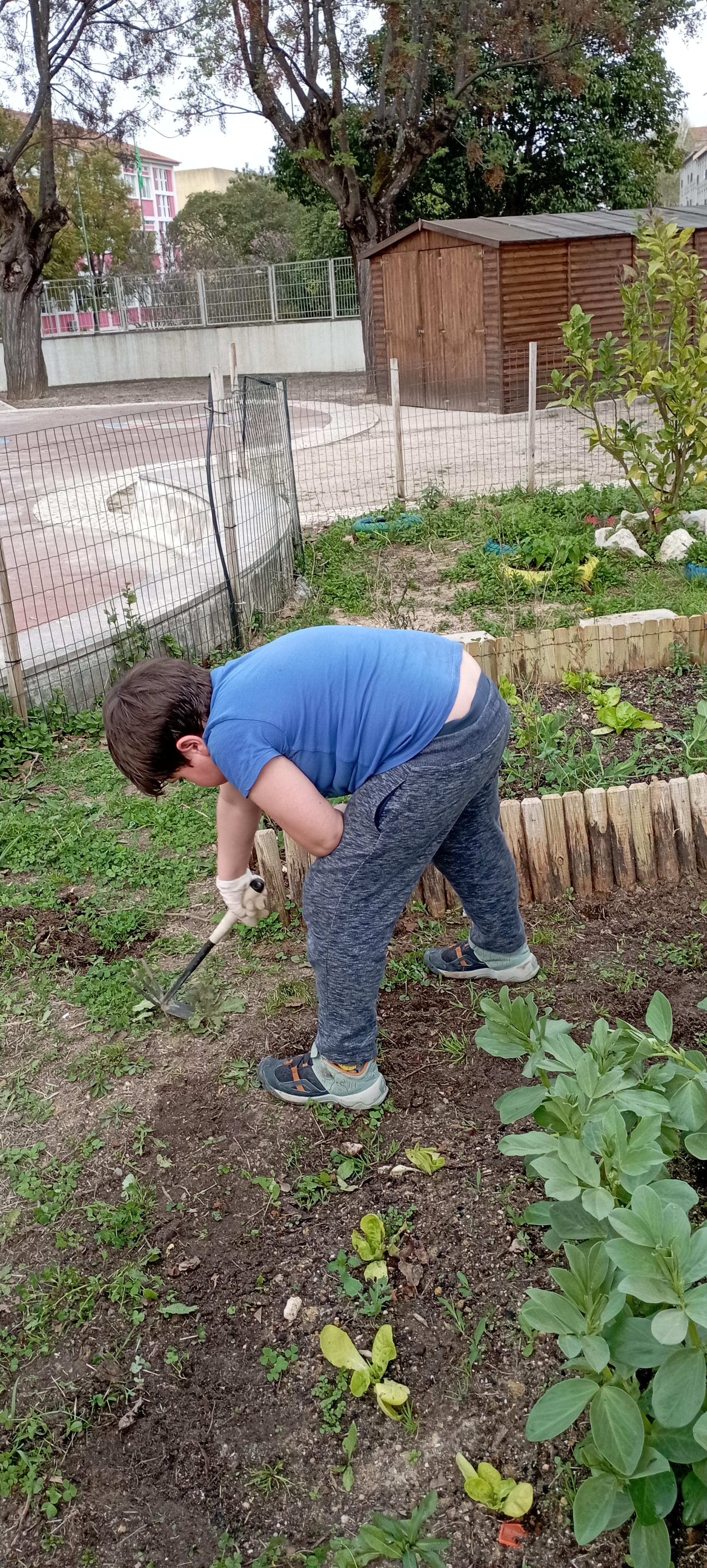 Cuidar da horta, retirando ervas daninhas.