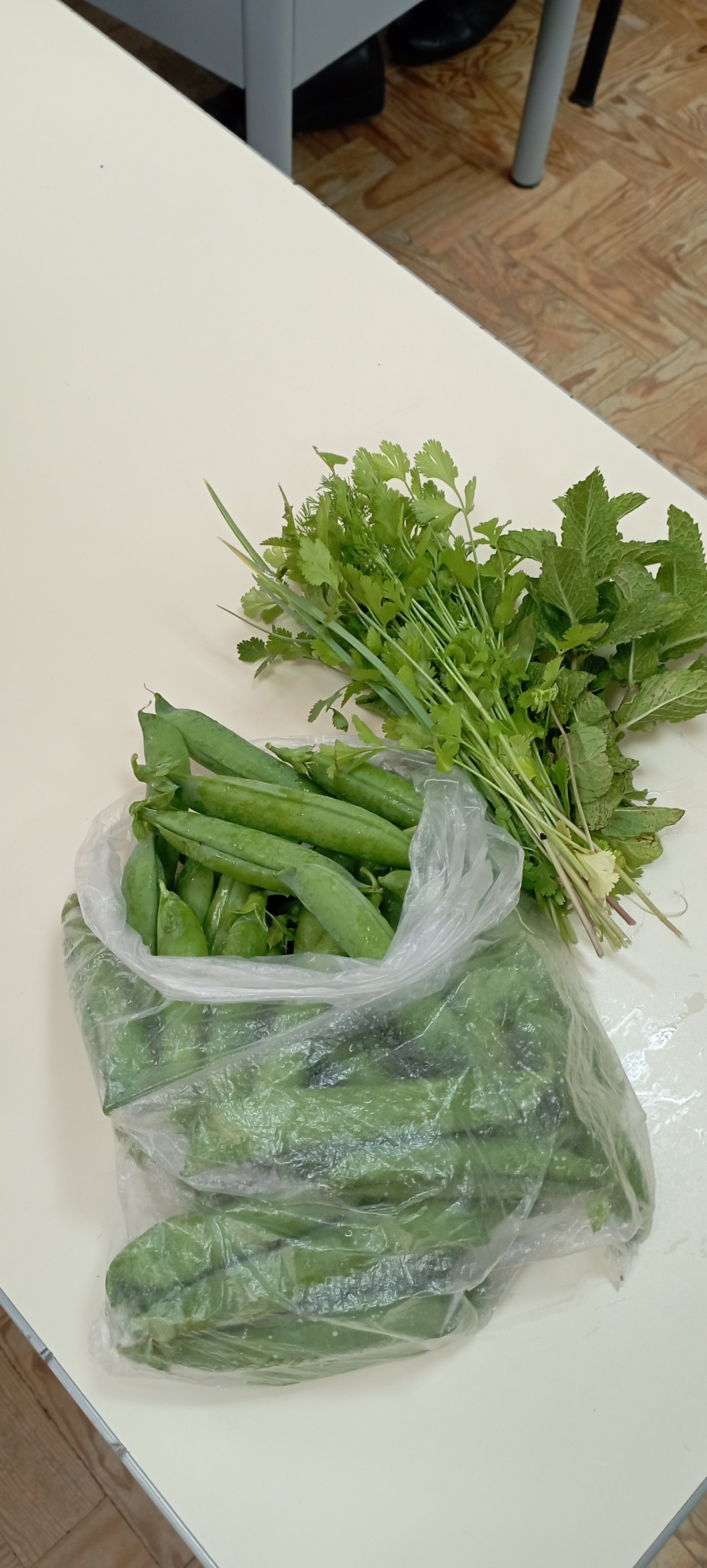 Colheita das ervilhas e algumas ervas aromáticas